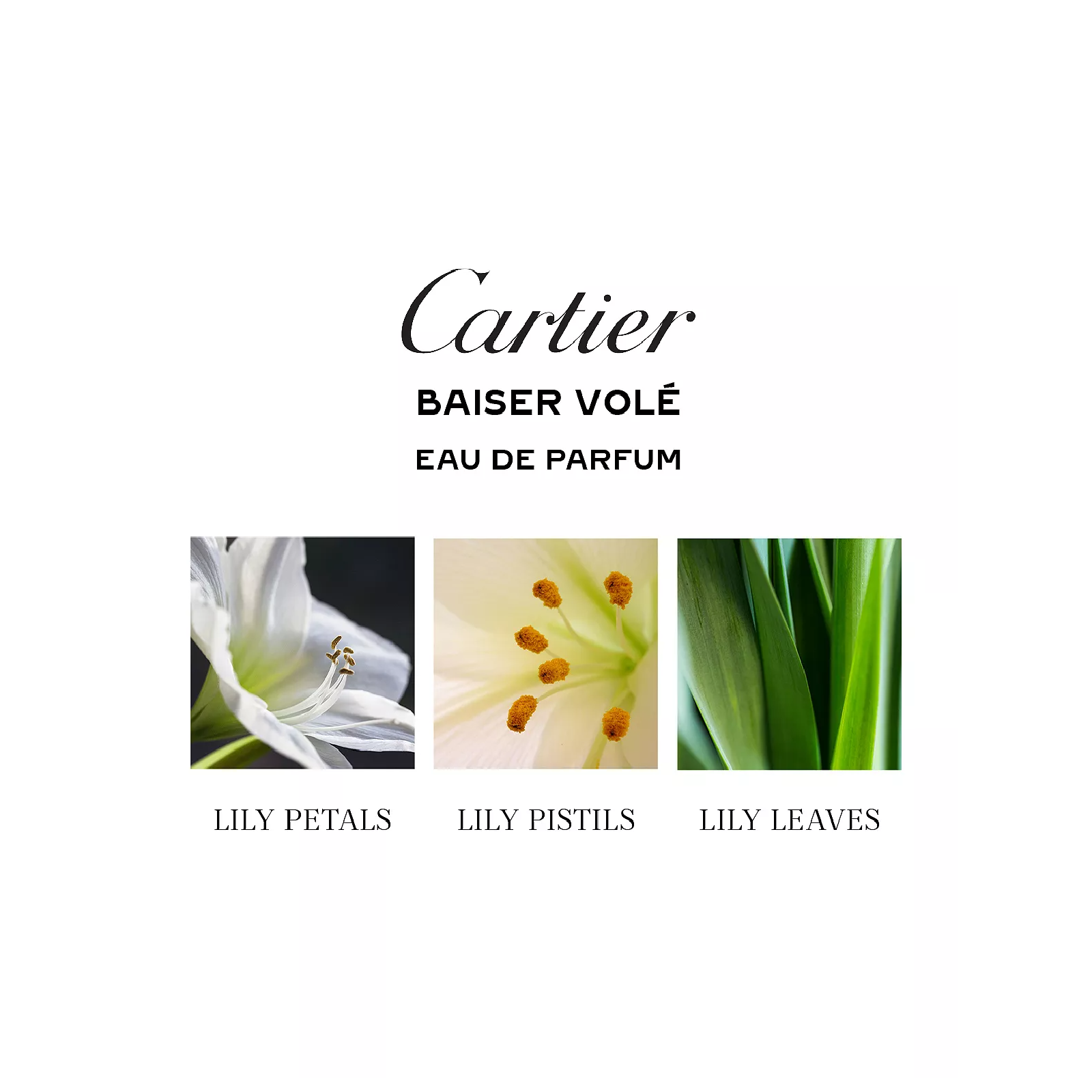 Cartier Baiser Vole Eau de Parfum for Women