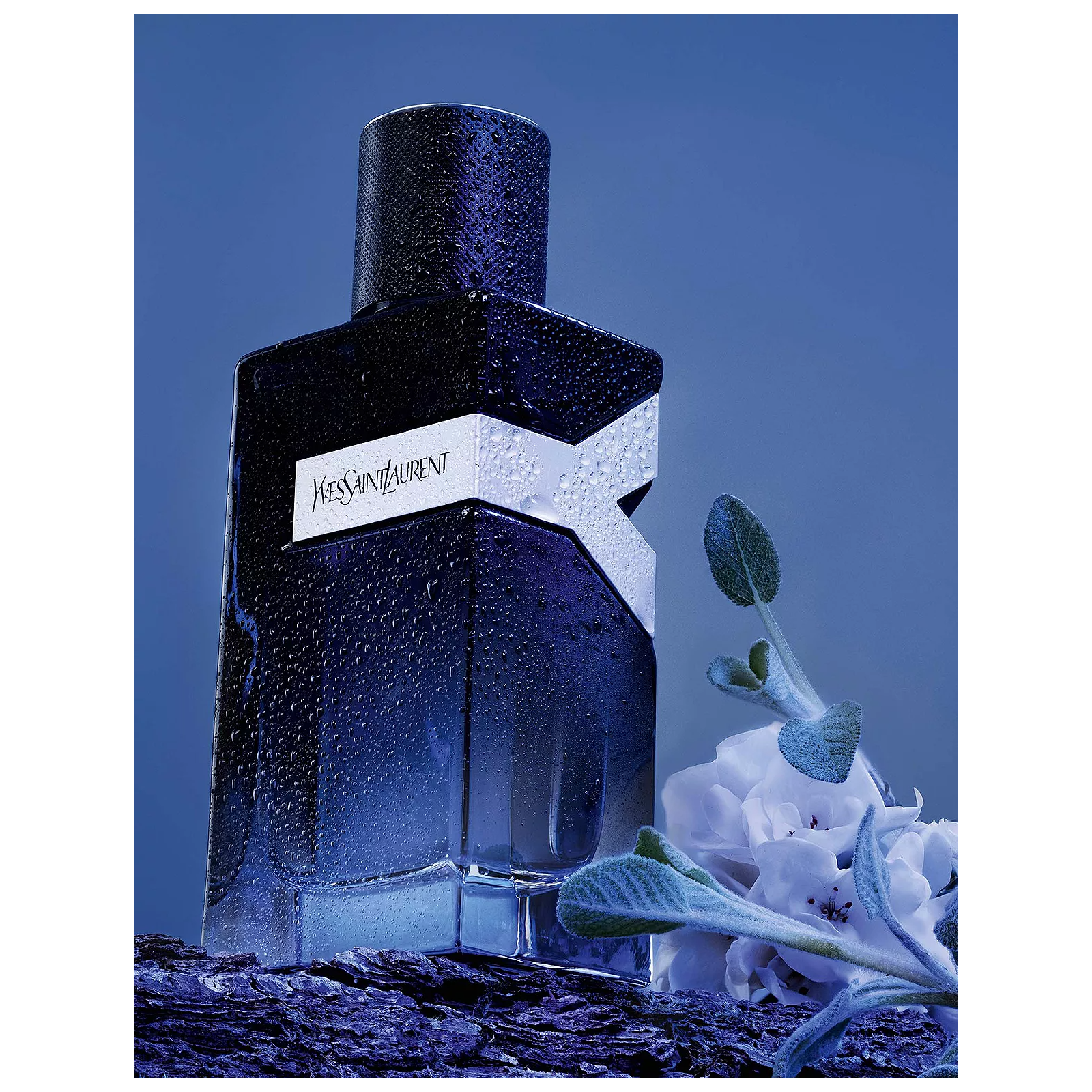 Yves Saint Laurent Y Eau de Parfum for Men