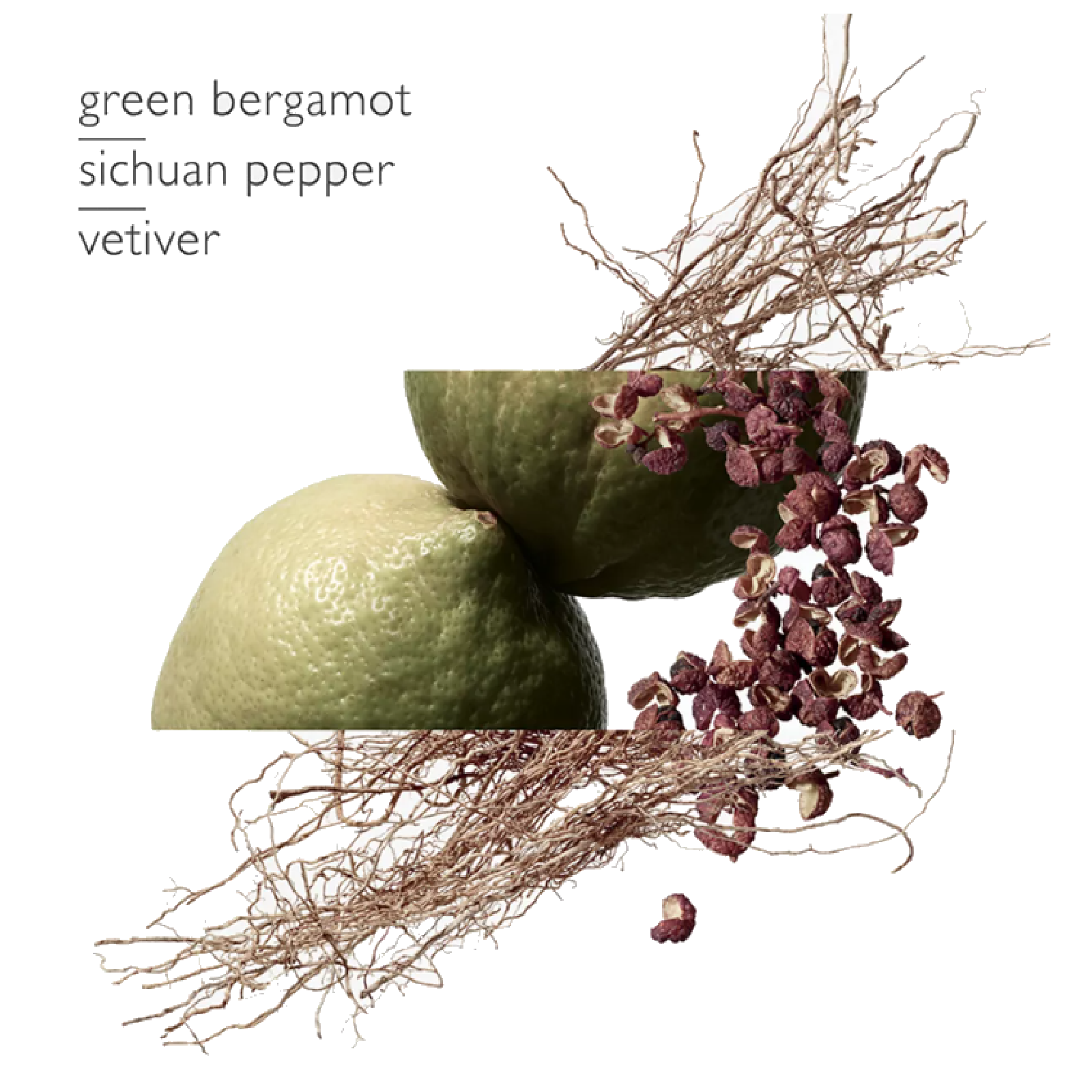 Hermes Terre D'hermes Eau Intense Vetiver Eau de Parfum for Men