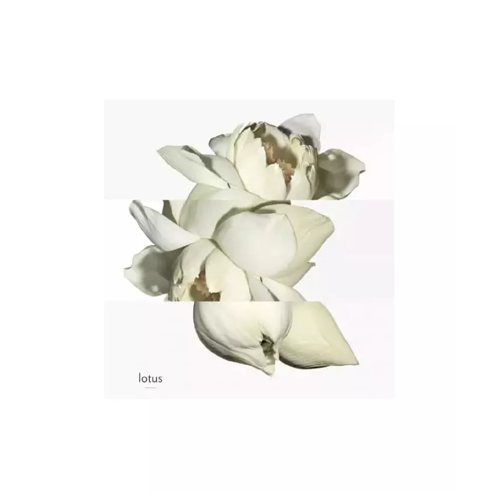 Hermes Un Jardin Sur Le Nil Eau de Toilette for Women