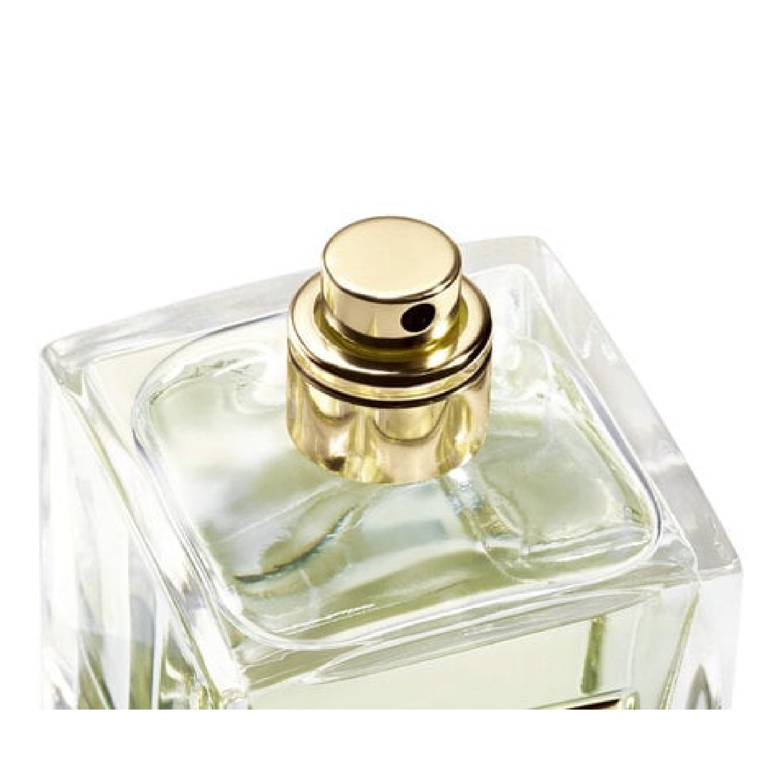 Giorgio Armani Prive Thé Yulong Eau de Toilette for Everyone