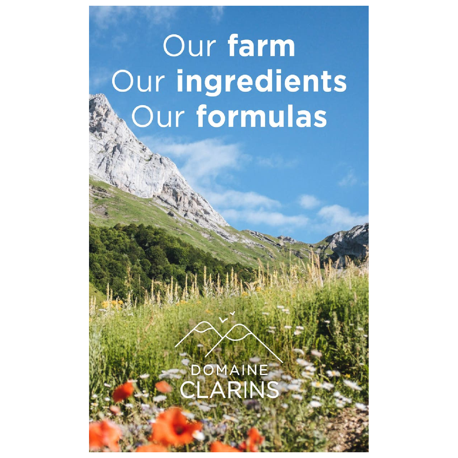 Clarins Anti-Pollution Velvet Cleansing Milk