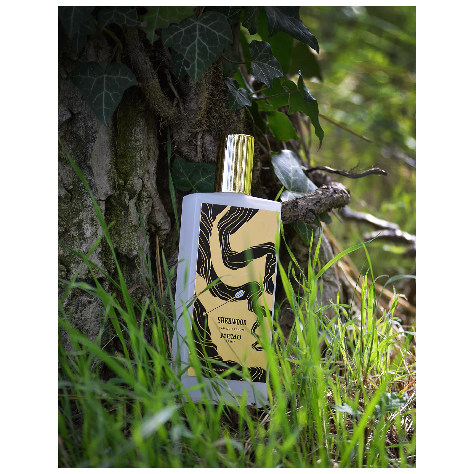 Memo Paris Sherwood Eau de Parfum for Everyone