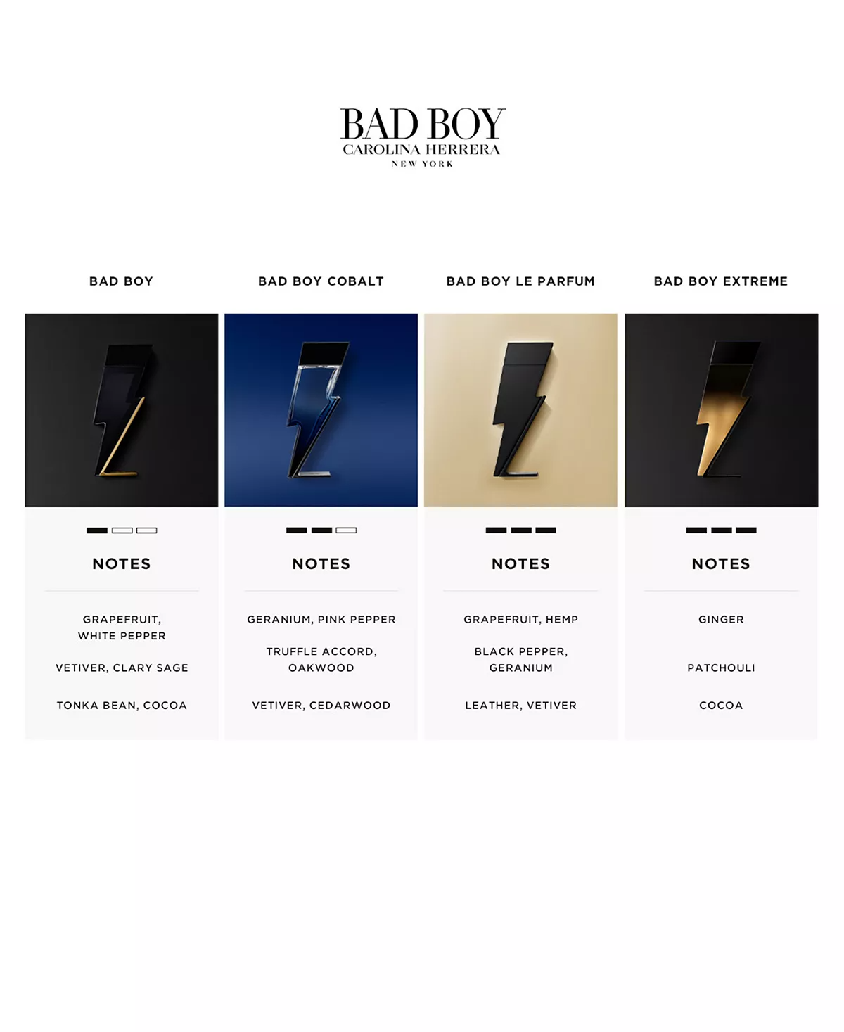 Carolina Herrera Bad Boy Eau de Toilette for Men