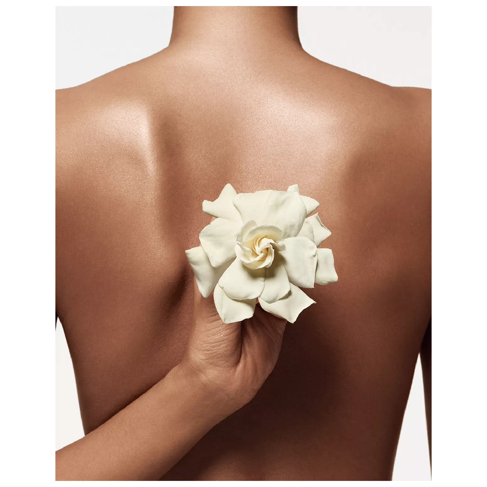 Donna Karan Cashmere Mist Eau de Toilette for Women