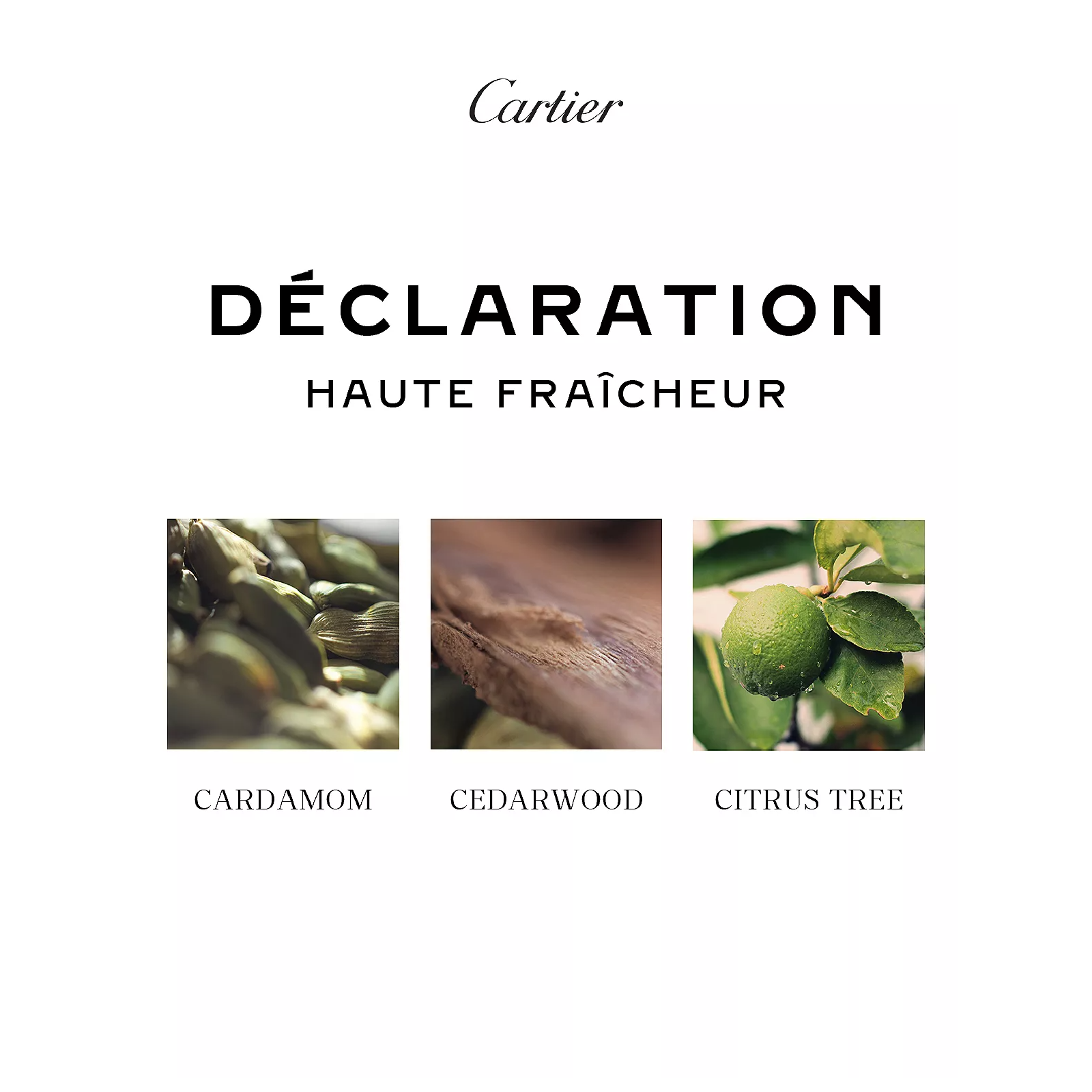 Cartier Declaration Haute Fraicheur Eau de Toilette for Men
