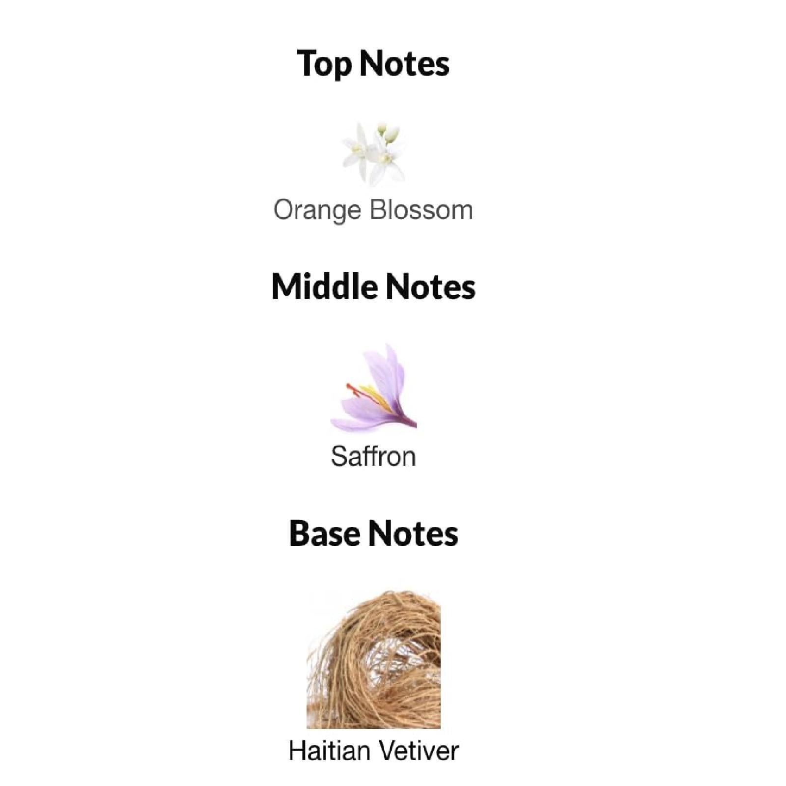 Tom Ford Grey Vetiver Parfum for Men