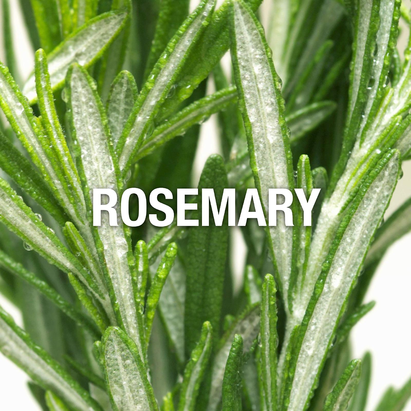 Ed Hardy Hearts & Daggers Eau de Toilette for Men