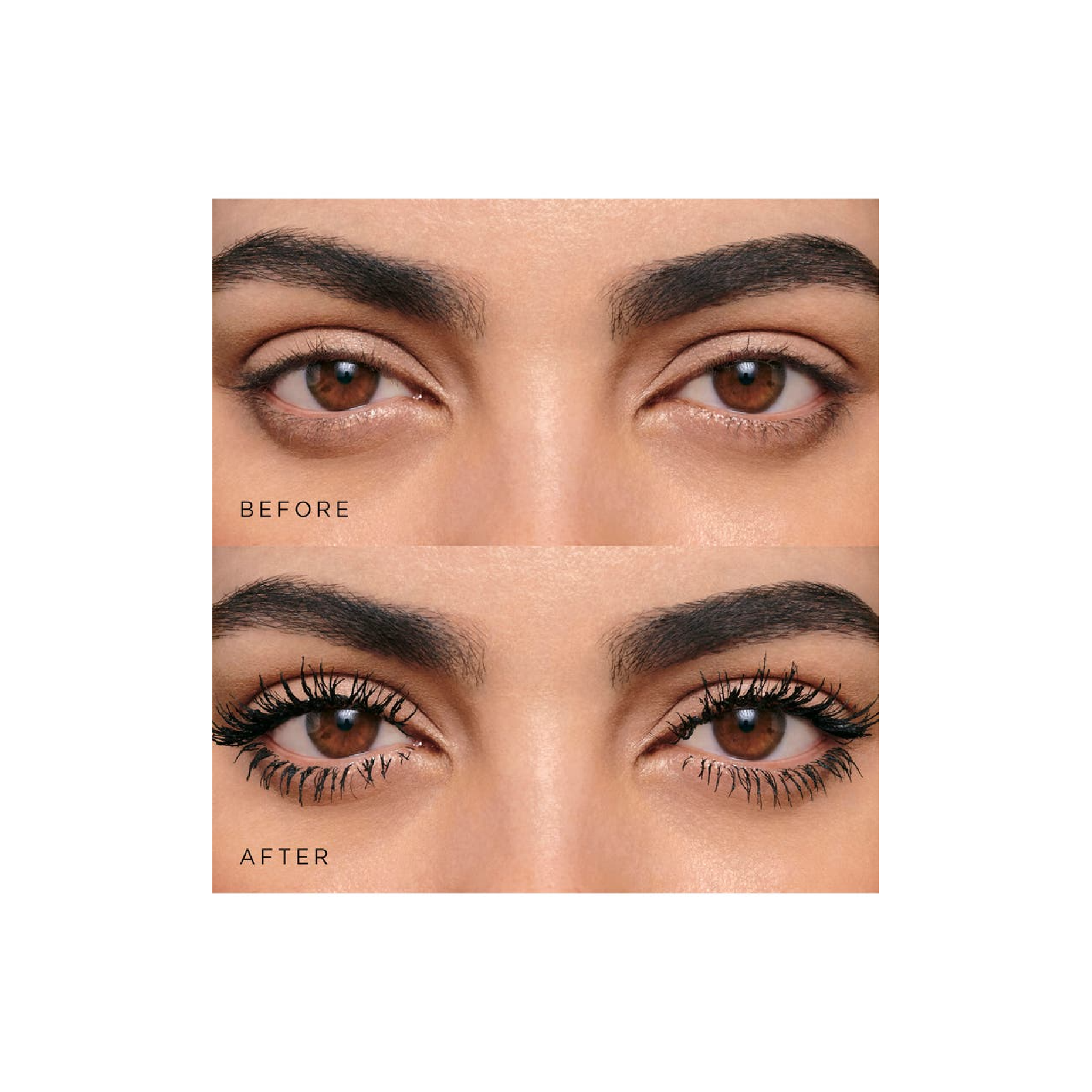 Lancome Monsieur Big for Women