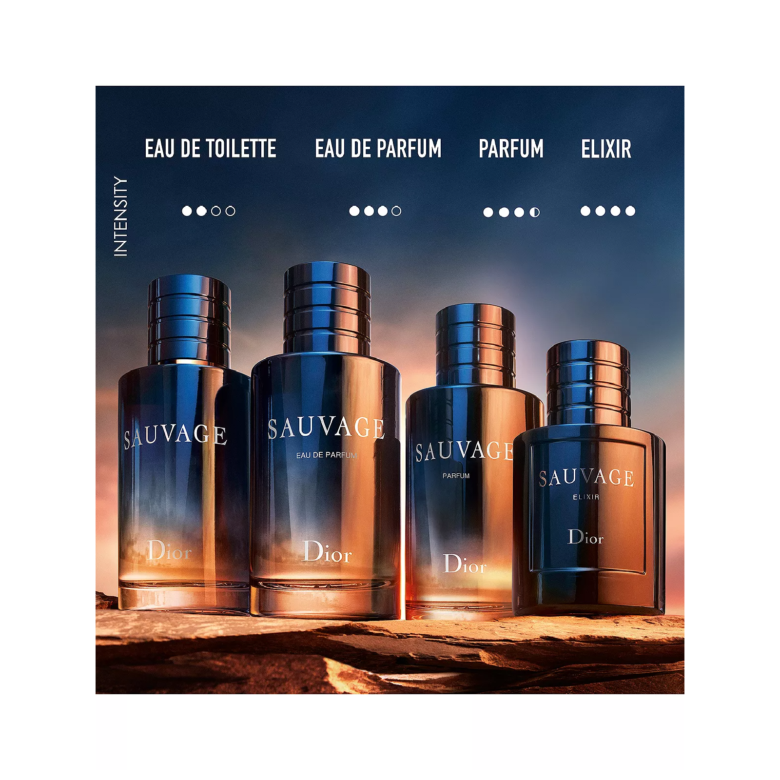 Dior Sauvage Eau de Toilette for Men