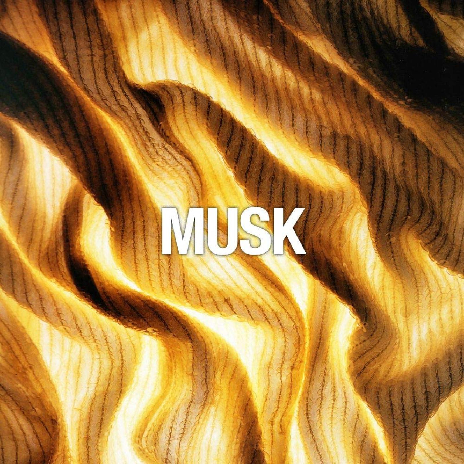 Liz Claiborne Curve Chill Eau de Toilette for Women