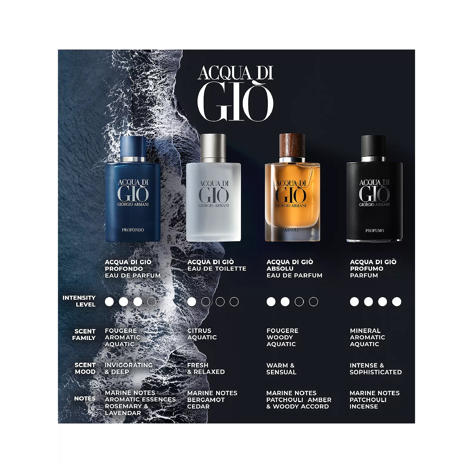 Giorgio Armani Acqua Di Gio Absolu Eau de Parfum for Men