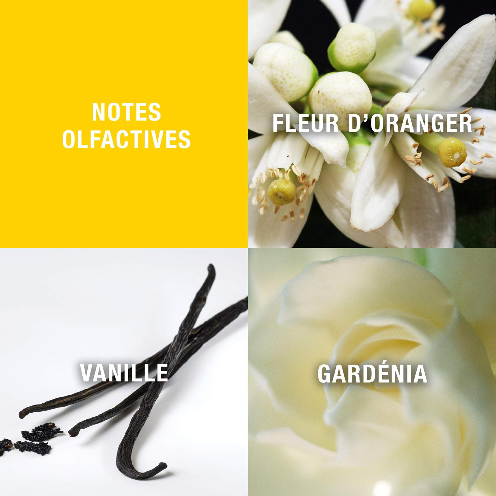 Giorgio Beverly Hills Giorgio Eau de Toilette for Women