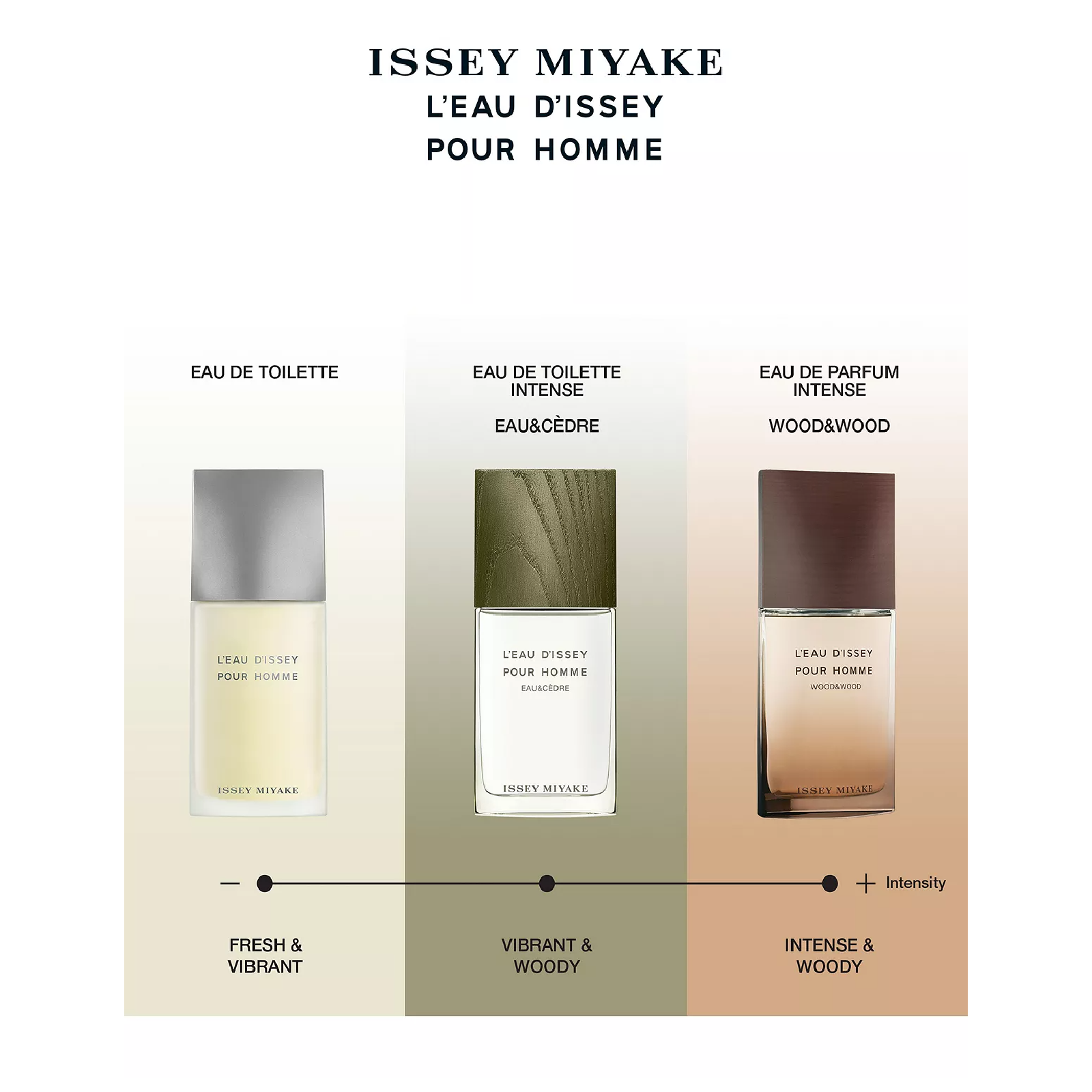 Issey Miyake L'Eau d'Issey Pour Homme Eau de Toilette for Men