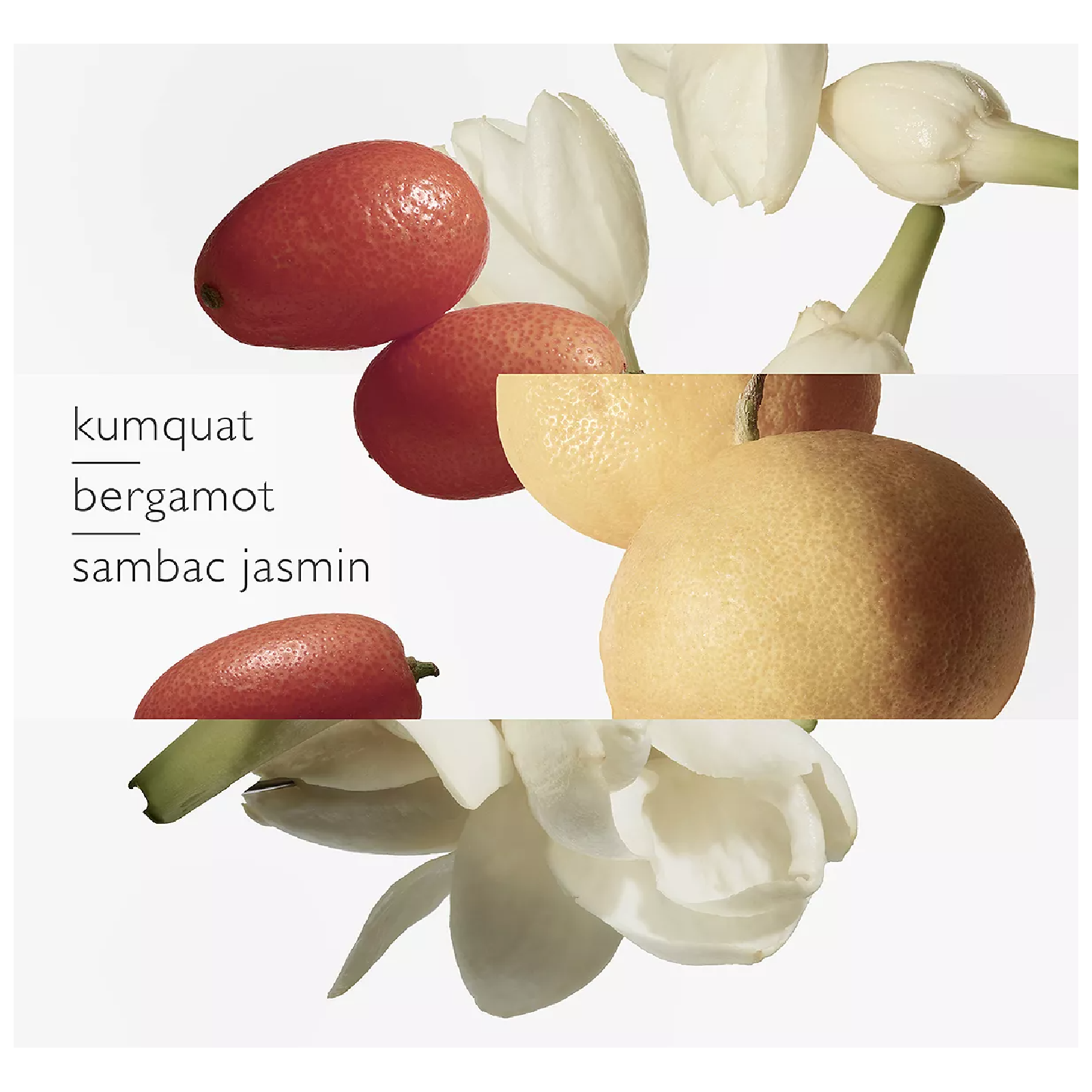 Hermes Le Jardin De Monsieur Li Eau de Toilette for Everyone