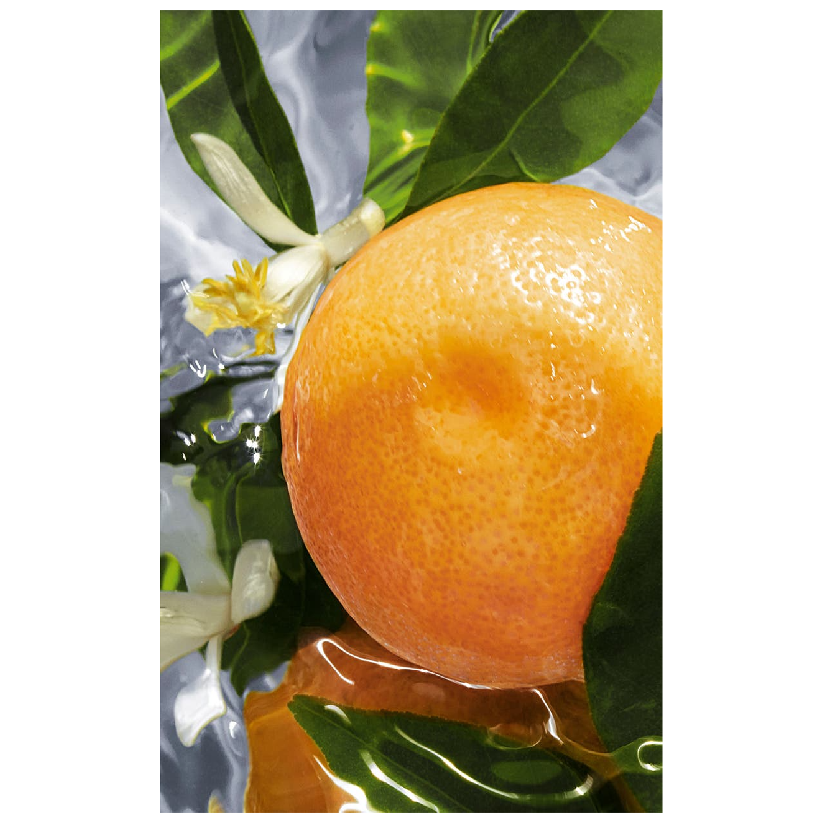 Guerlain Aqua Allegoria Pamplelune Eau de Toilette for Women