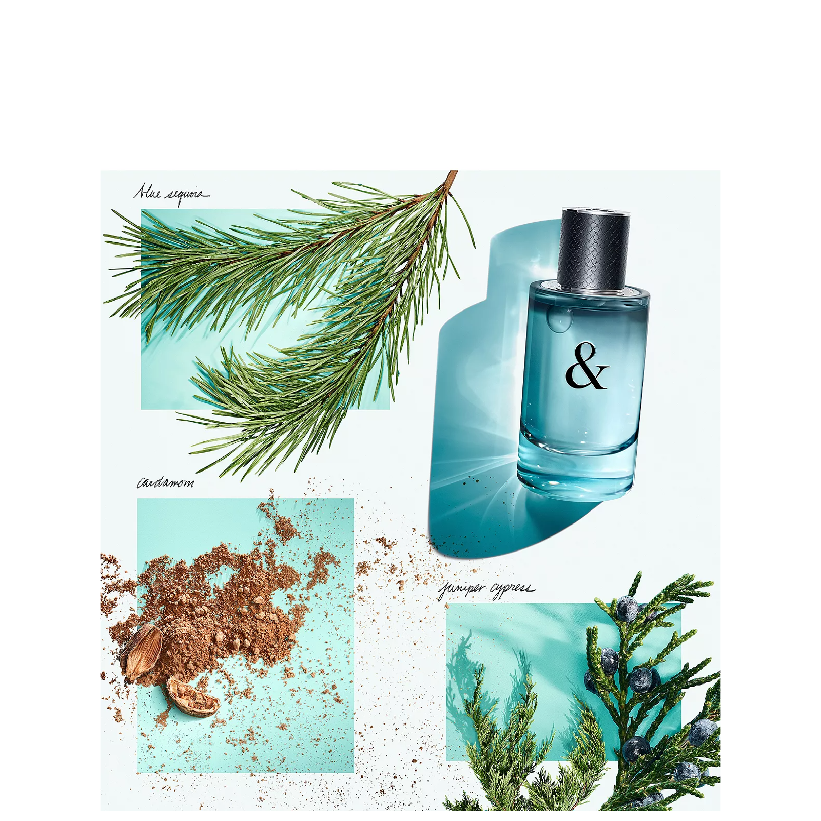 Tiffany Love Eau de Toilette for Men