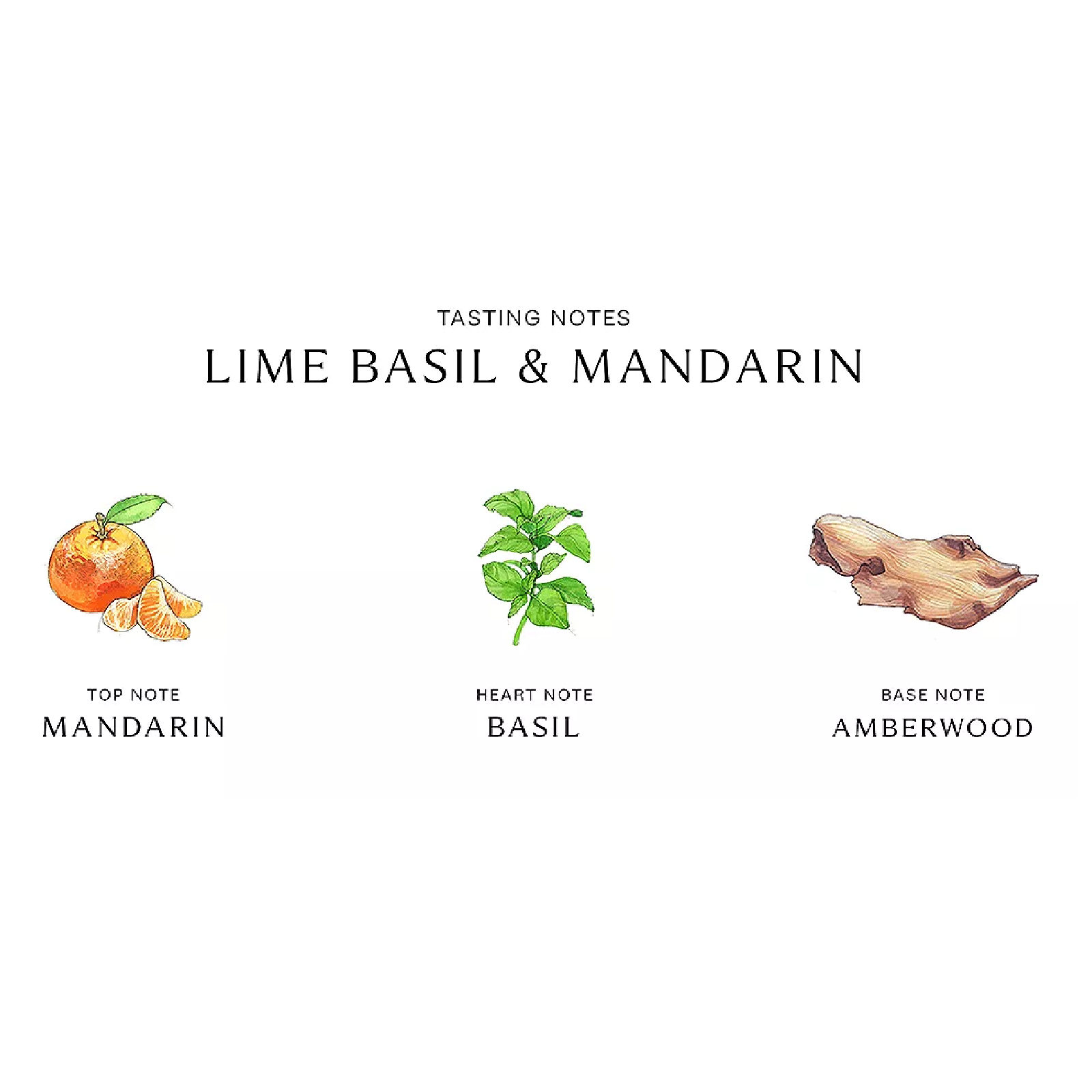 Jo Malone Lime Basil & Mandarin Candle