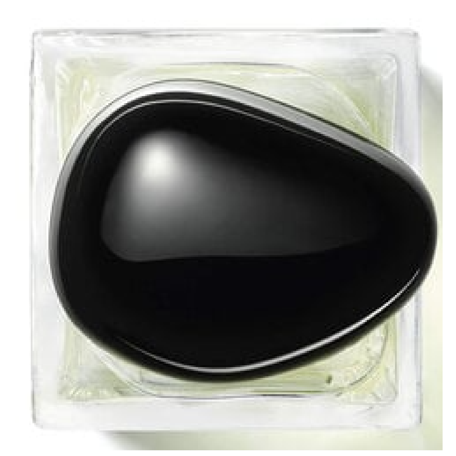 Giorgio Armani Prive Thé Yulong Eau de Toilette for Everyone