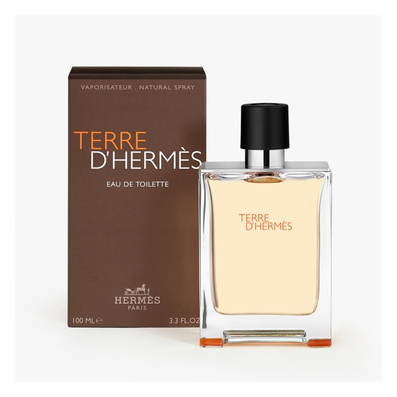 Hermes Terre D'hermes Eau de Toilette for Men
