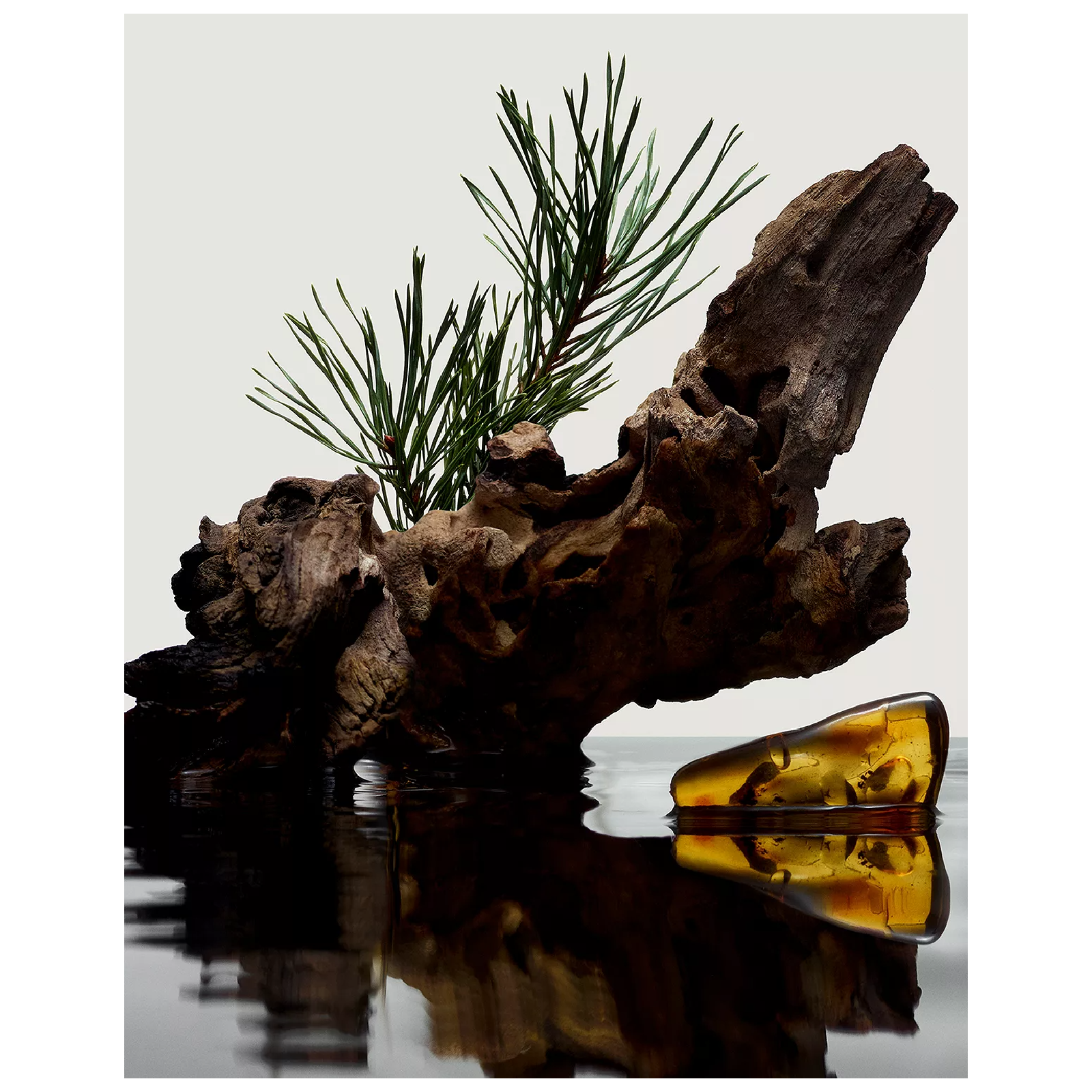 Burberry Hero Eau de Parfum for Men