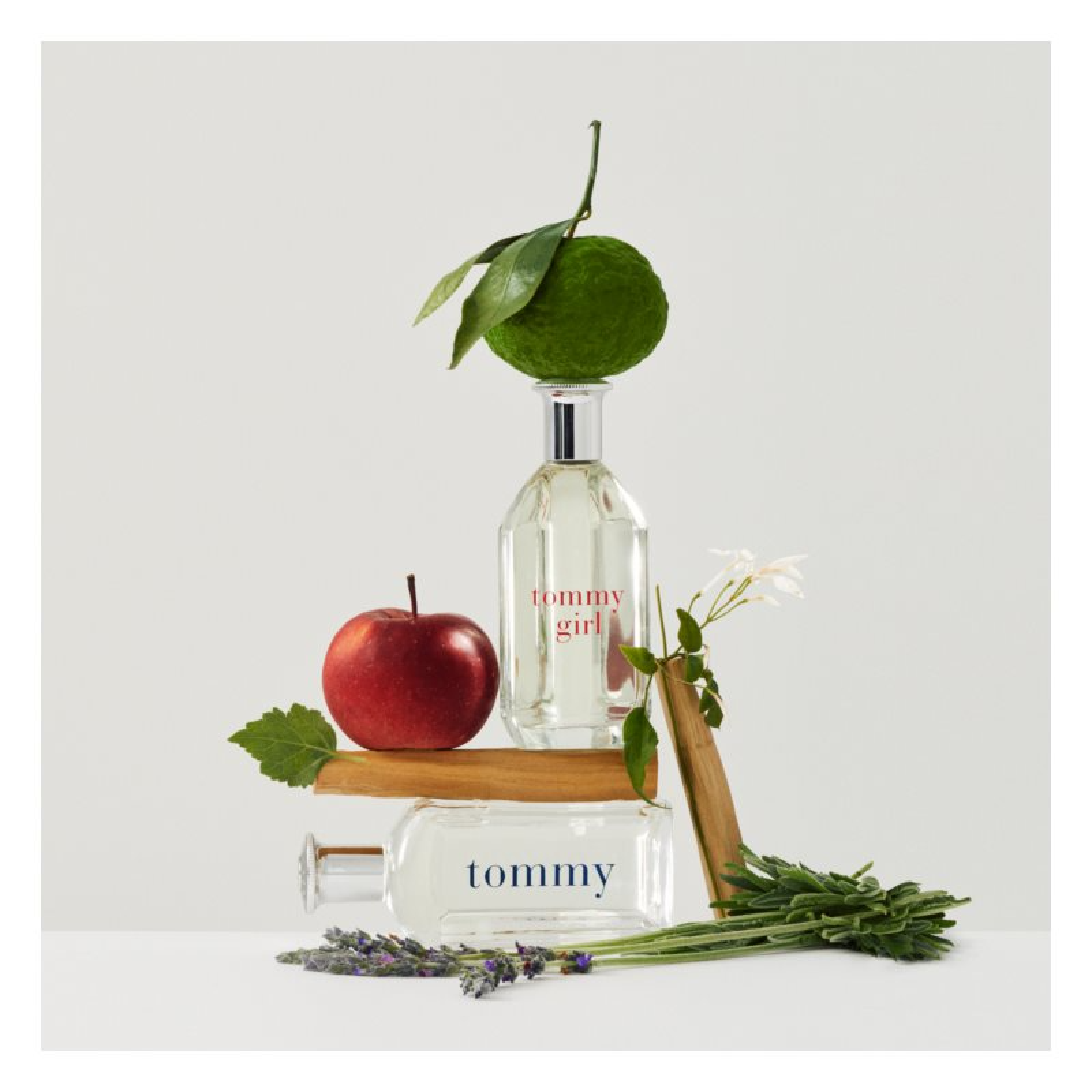 Tommy Hilfiger Tommy Eau de Toilette for Men