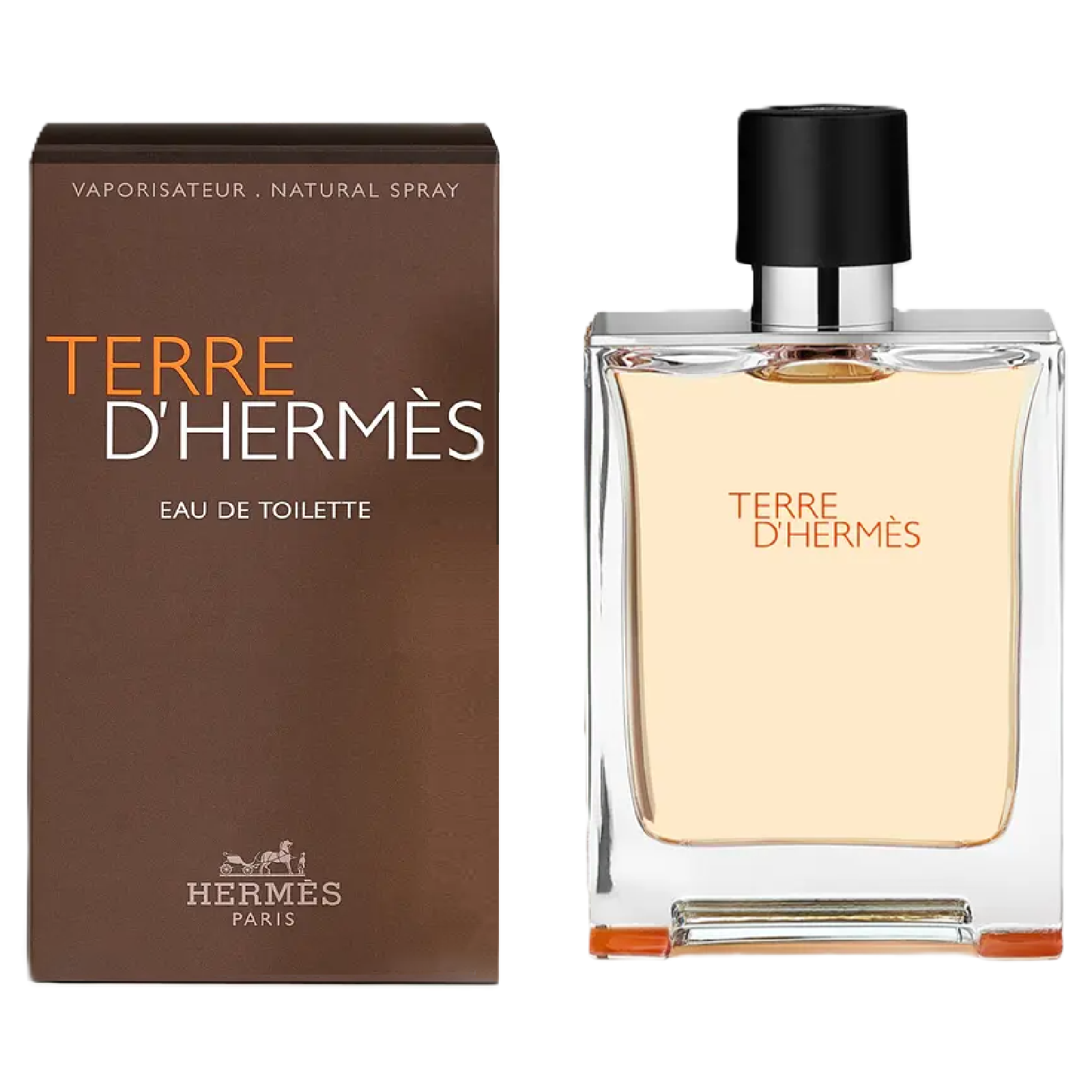 Hermes Terre D'hermes Eau de Toilette for Men