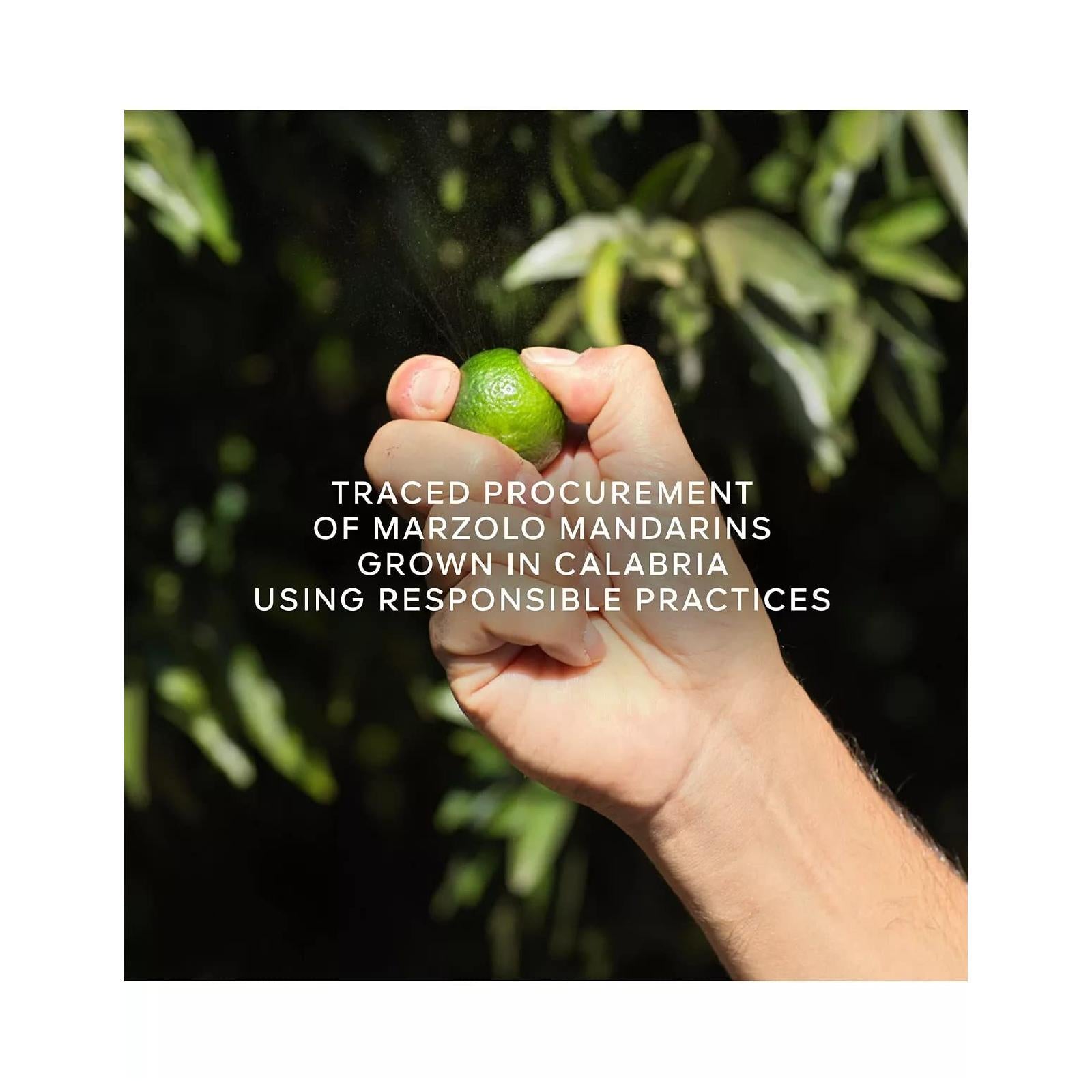 Guerlain Aqua Allegoria Harvest Mandarine Basilic Eau de Toilette for Women