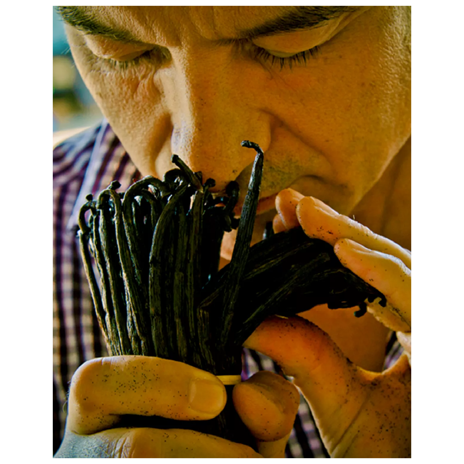 Guerlain Shalimar Eau de Toilette for Women