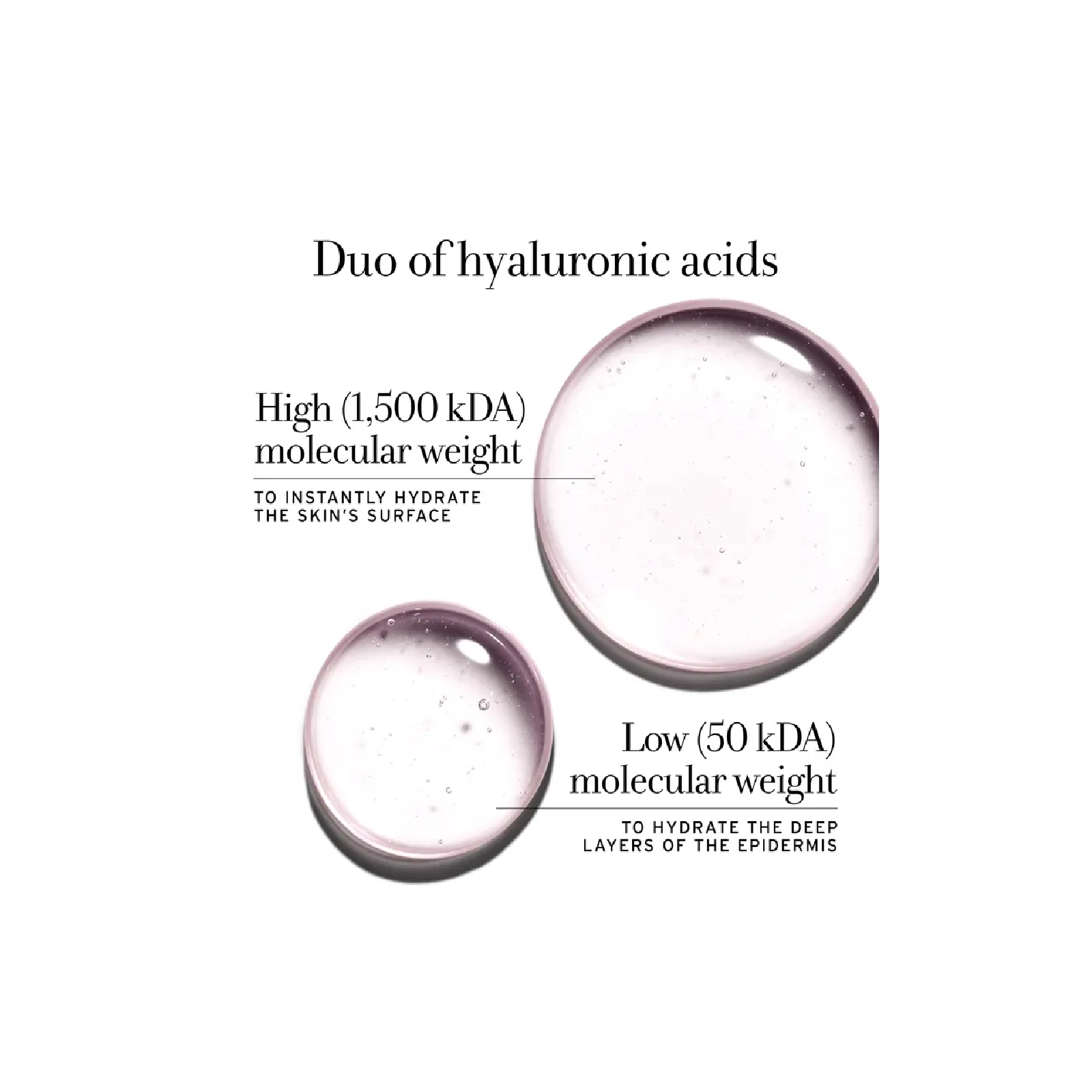 Fresh Rose Deep Hydration Face Cream for Women