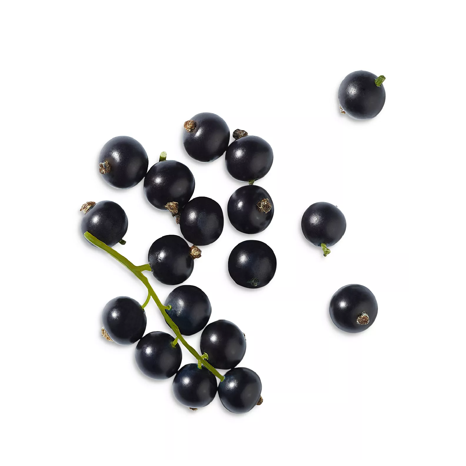 Lancome Tresor Midnight Rose Eau de Parfum for Women