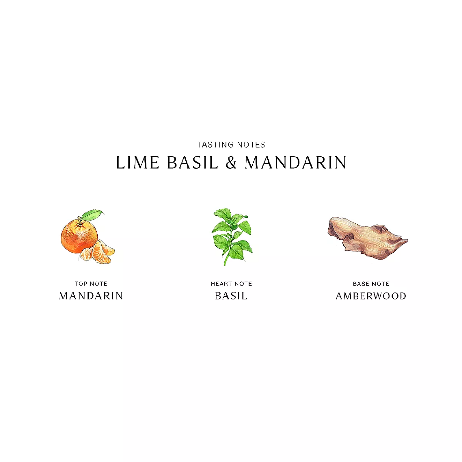 Jo Malone Lime Basil & Mandarin Eau de Cologne for Women