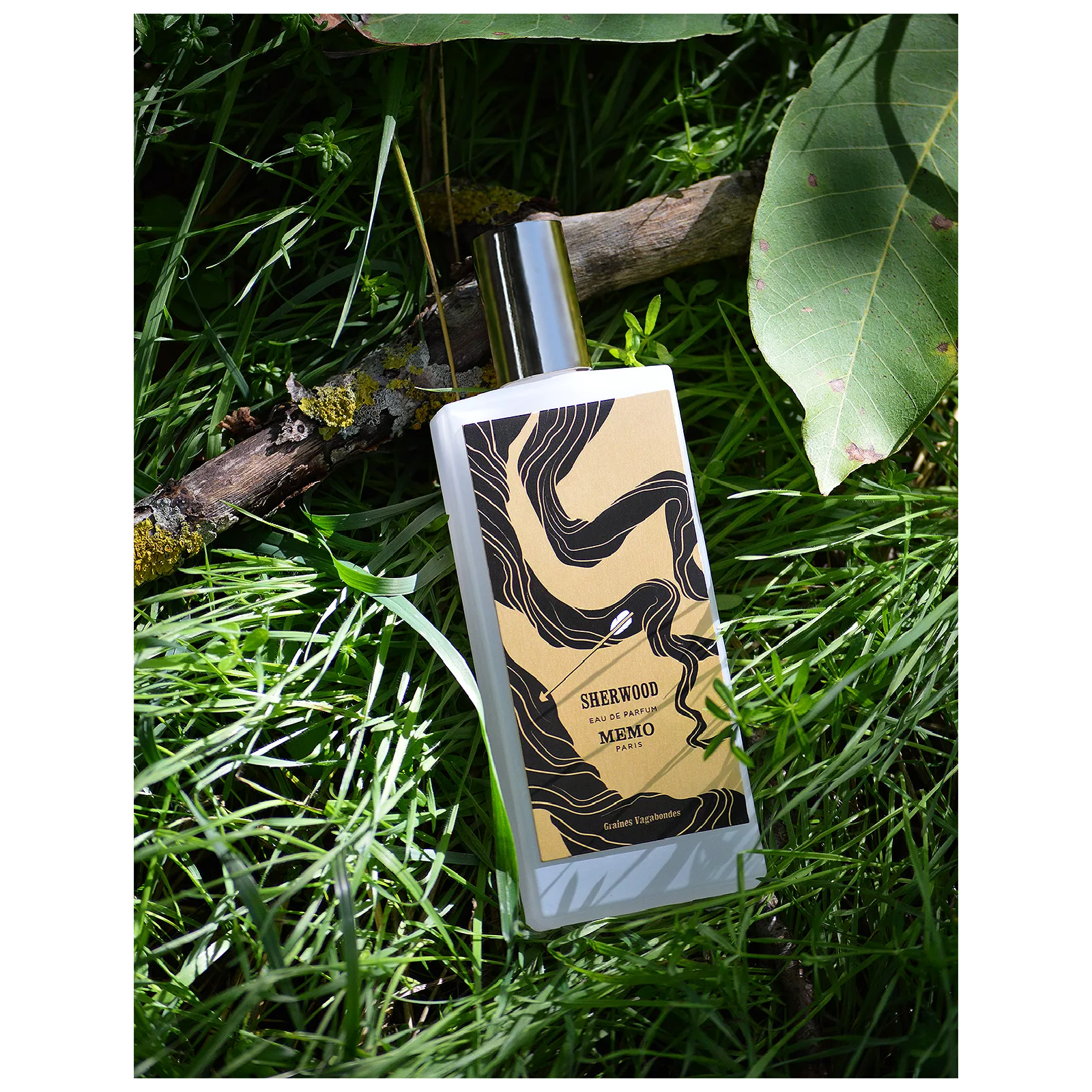 Memo Paris Sherwood Eau de Parfum for Everyone