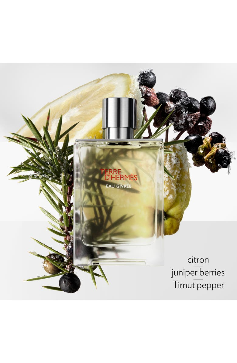 Hermes Terre d'Hermes Eau Givree Eau de Parfum for Men