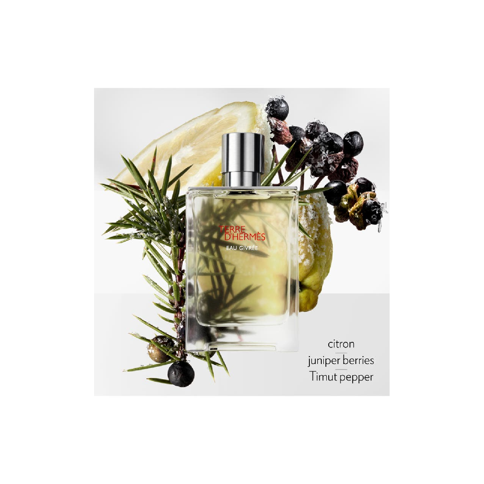 Hermes Terre d'Hermes Eau Givree Eau de Parfum for Men