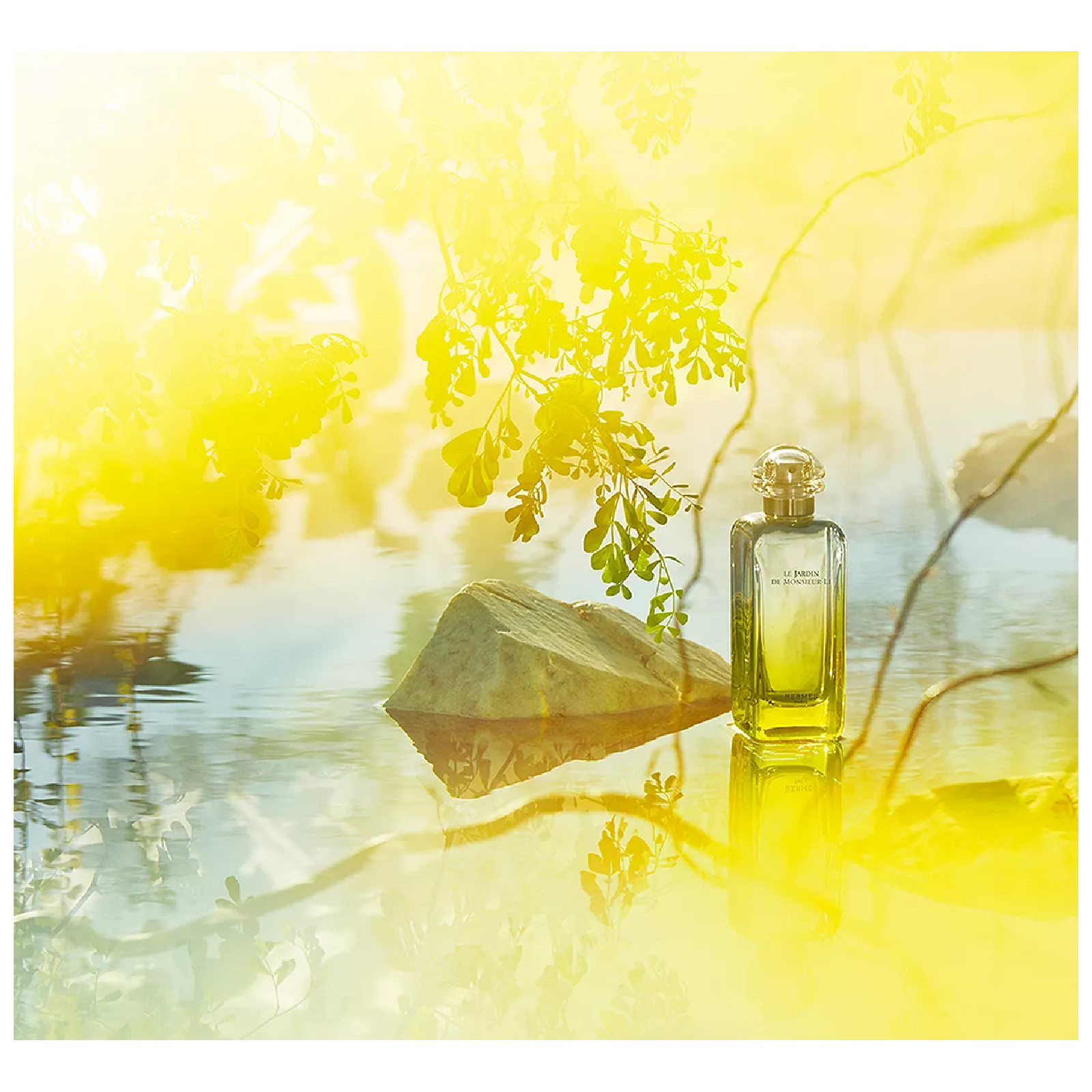 Hermes Le Jardin De Monsieur Li Eau de Toilette for Everyone