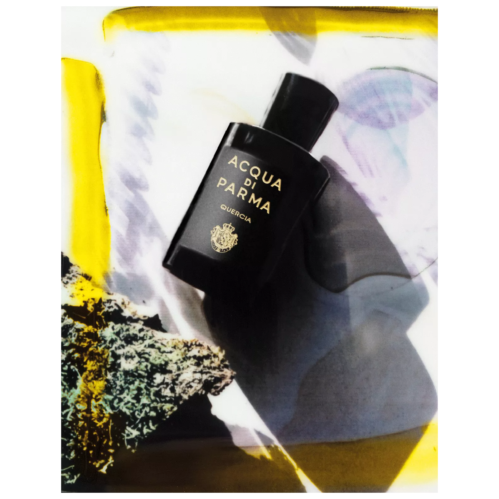 Acqua Di Parma Quercia Eau de Parfum for Everyone