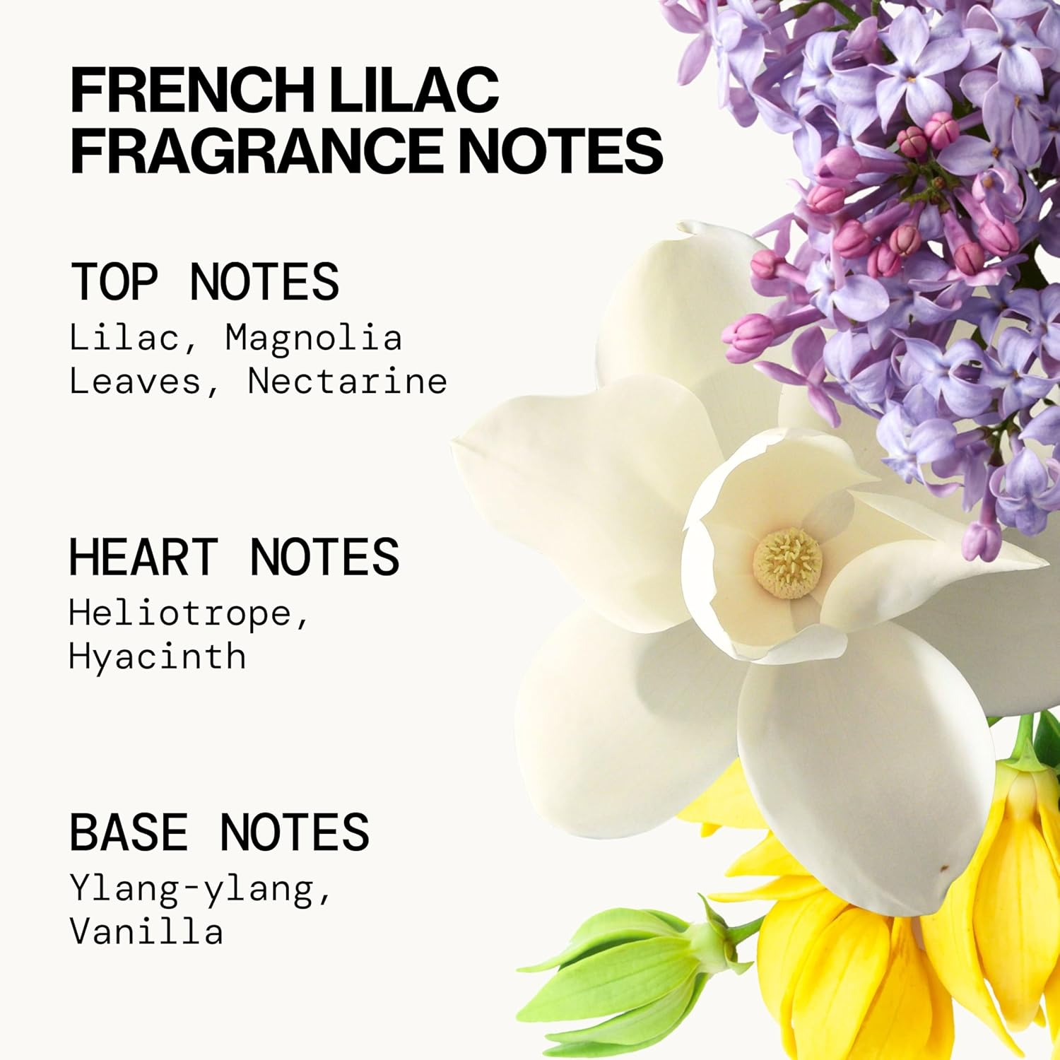 Pacifica Wndrlst Gift Set for Women