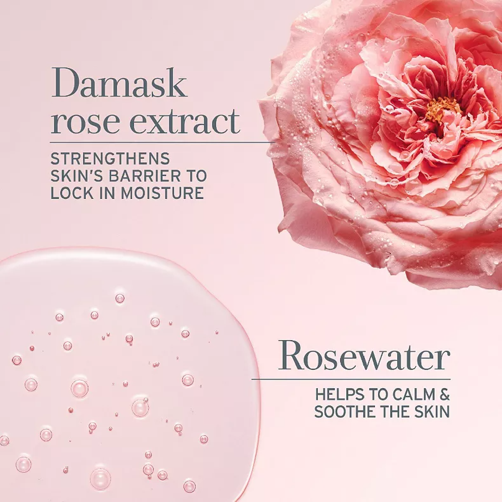 Fresh Rose Deep Hydration Face Cream