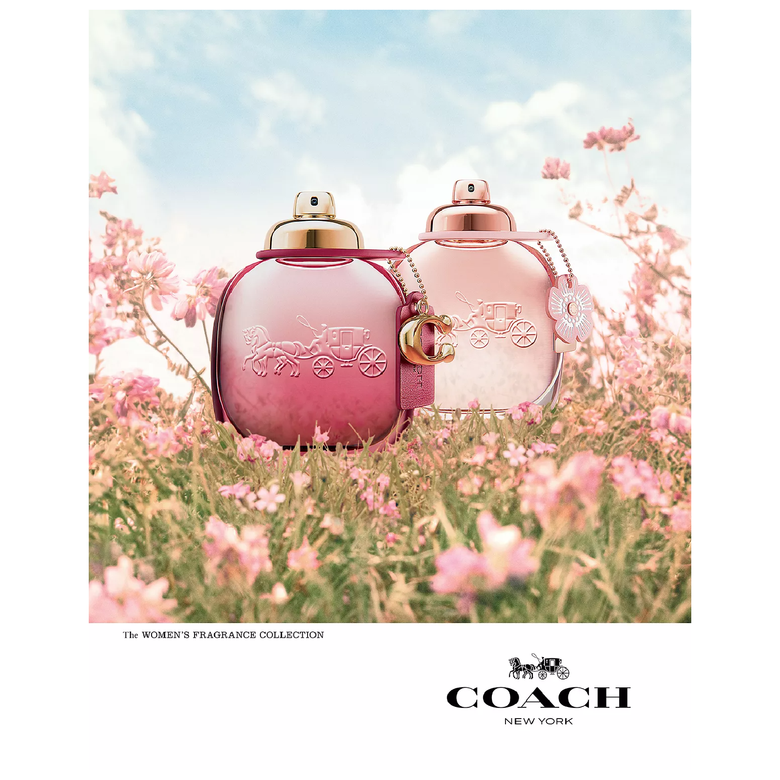 Coach Wild Rose Eau de Parfum for Women