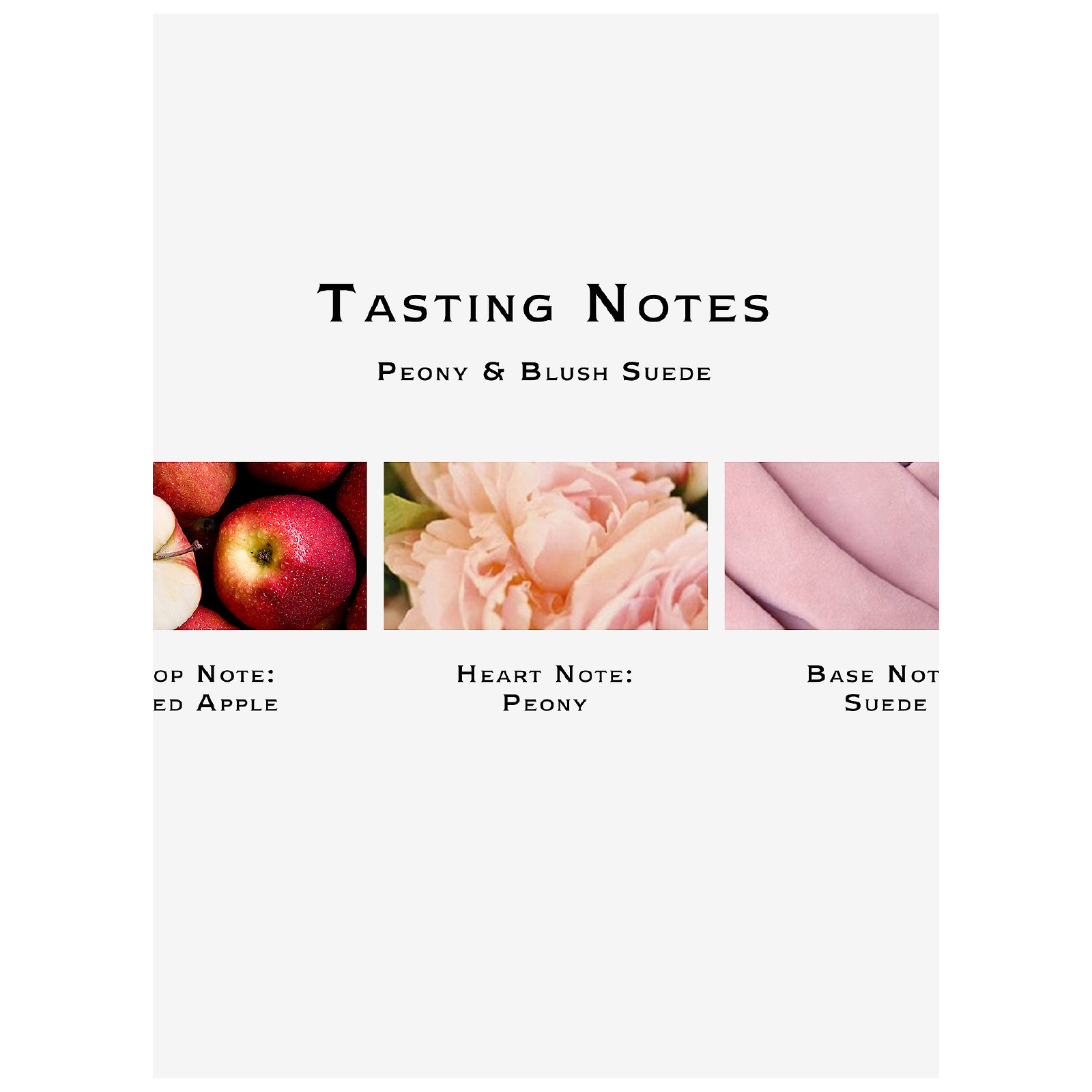 Jo Malone Peony & Blush Suede Eau de Cologne for Women