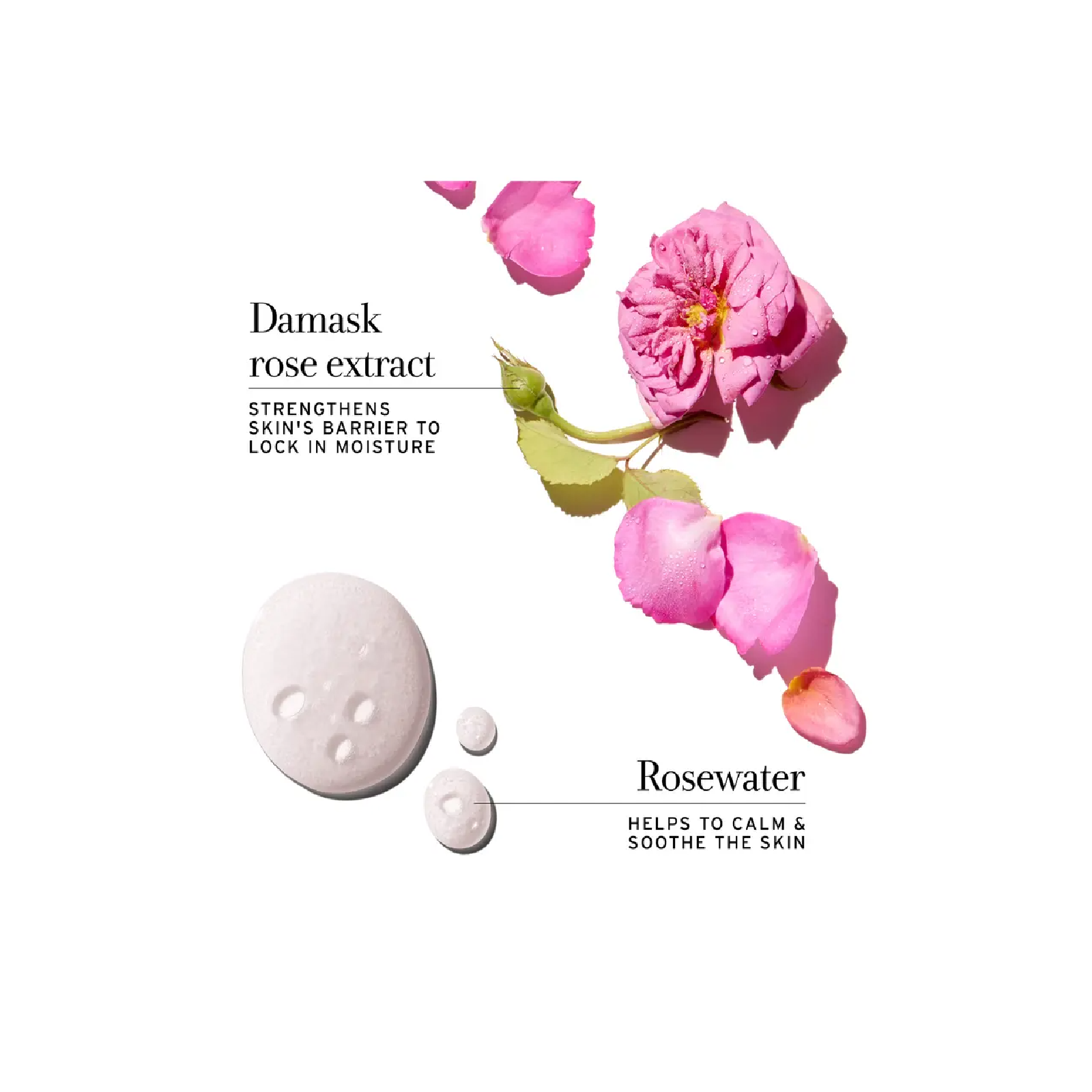 Fresh Rose Deep Hydration Face Cream for Women