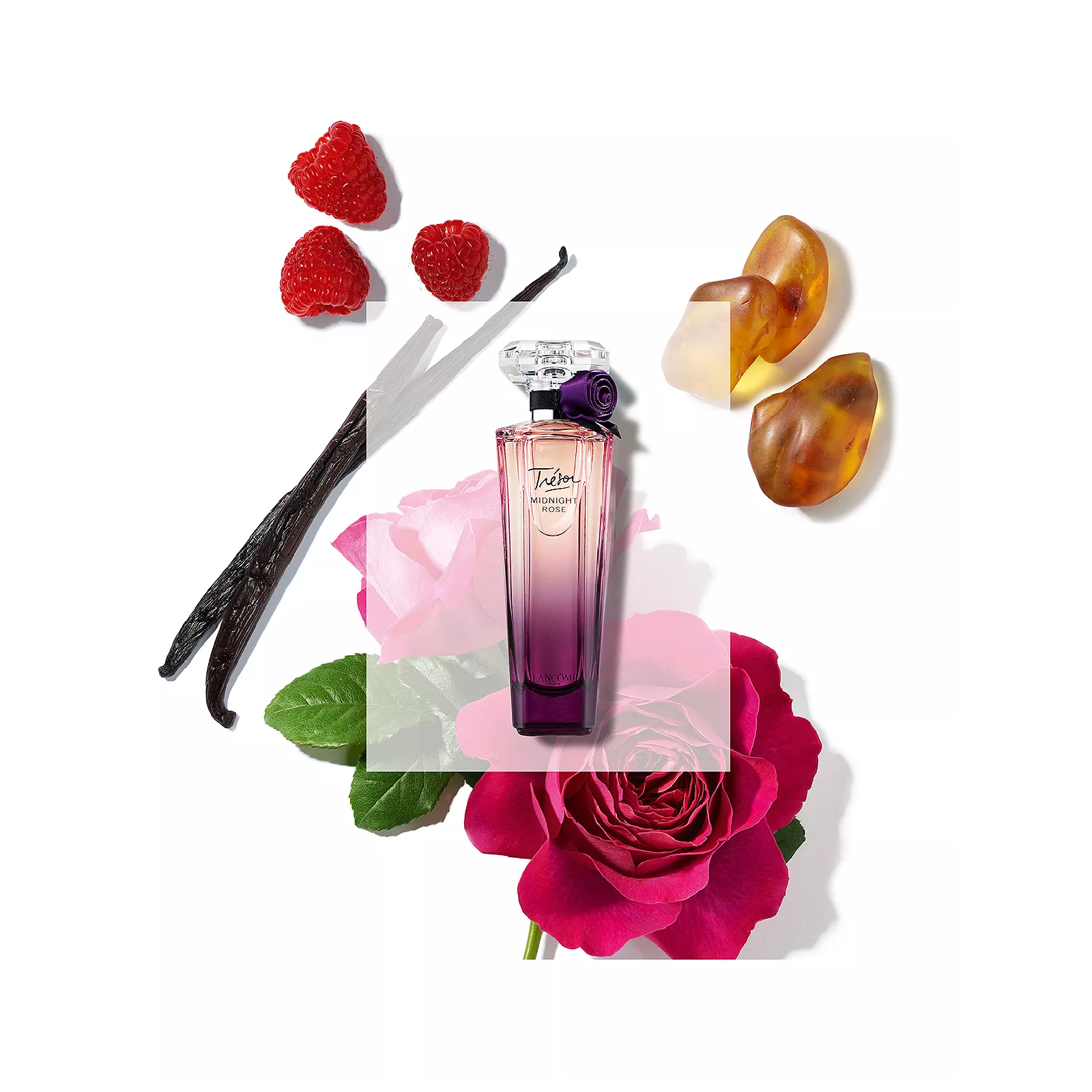 Lancome Tresor Midnight Rose Eau de Parfum for Women