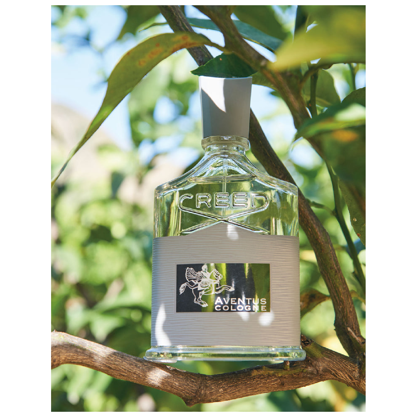 Creed Aventus Cologne Eau de Parfum for Men