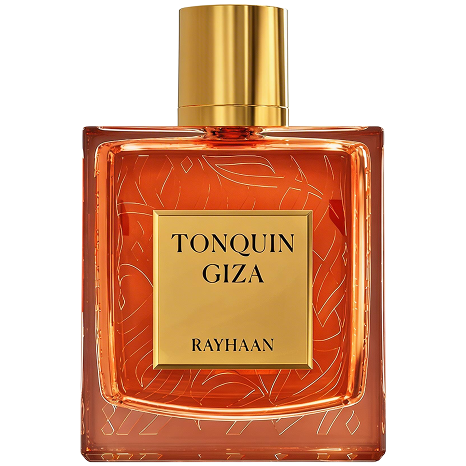 Rayhaan Tonquin Giza Eau de Parfum for Everyone