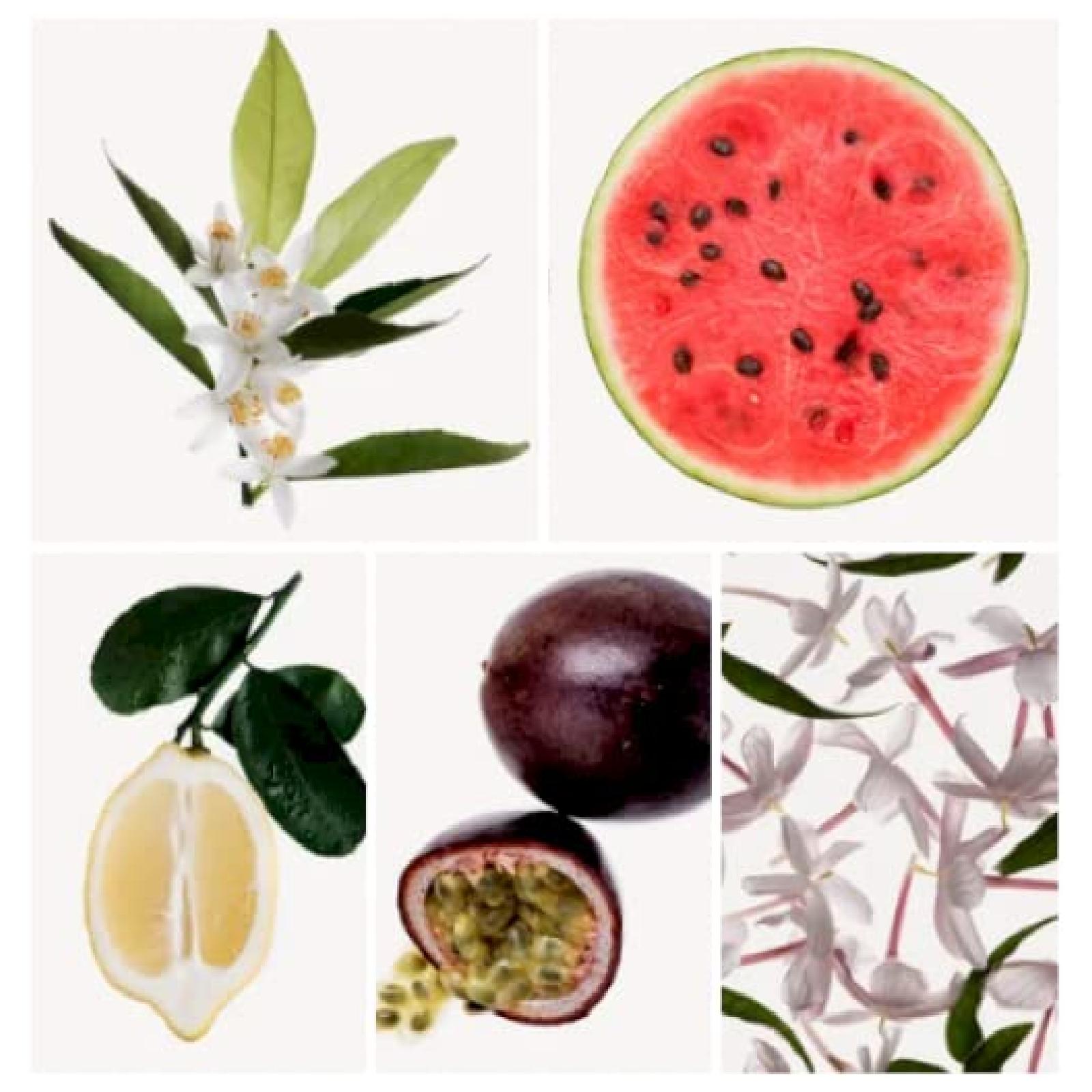 Shakira Rock Eau de Toilette for Women