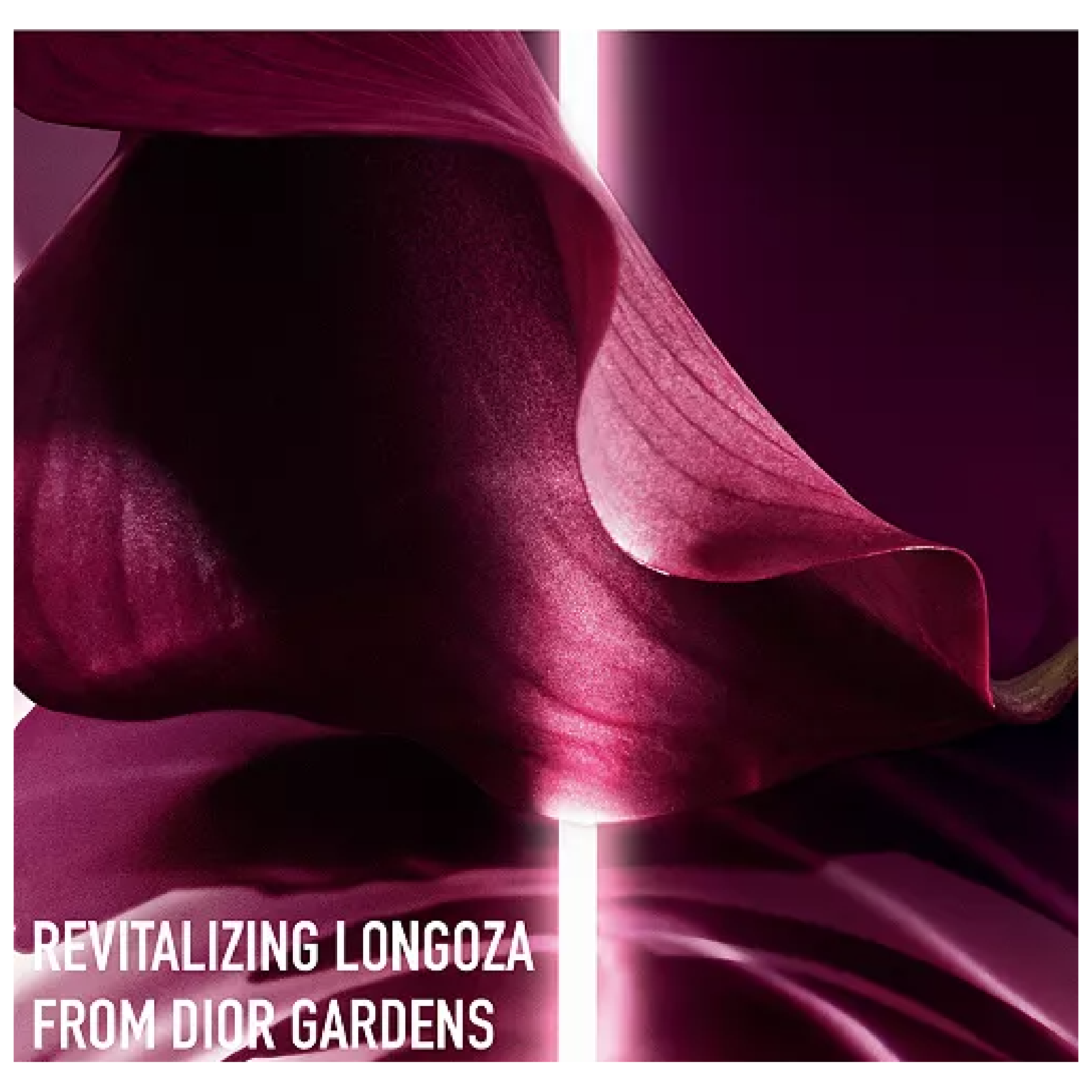 Dior Capture Totale C.e.l.l. Energy Super Potent Rich Crème