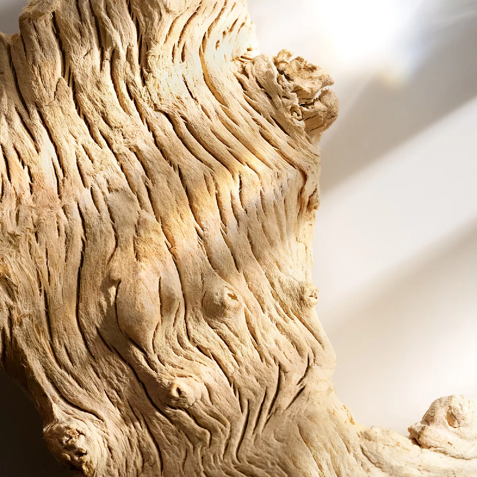 Michael Kors Wonderlust Eau de Parfum for Women