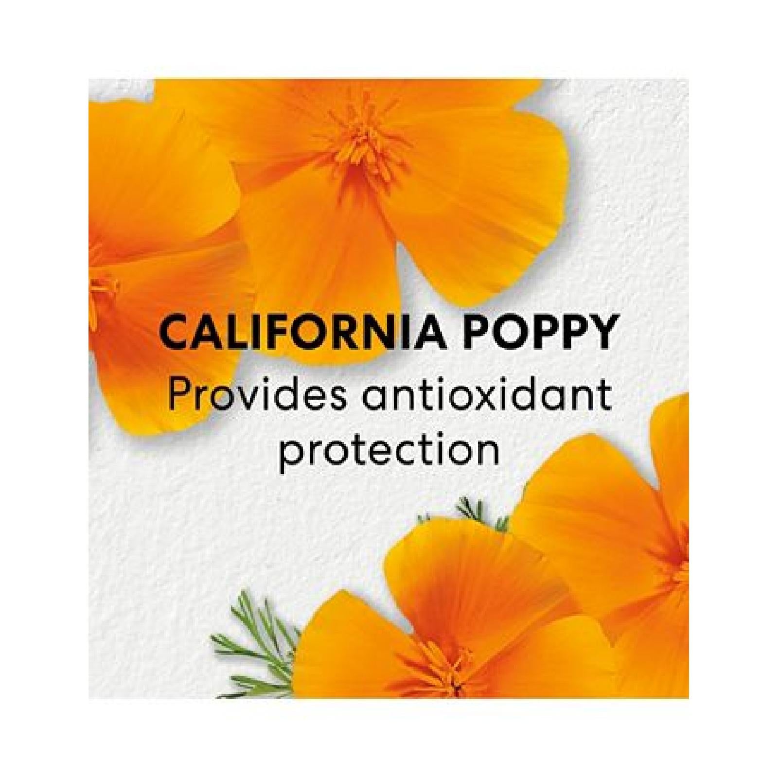 Bareminerals Skinlongevity Long Life Herb Serum