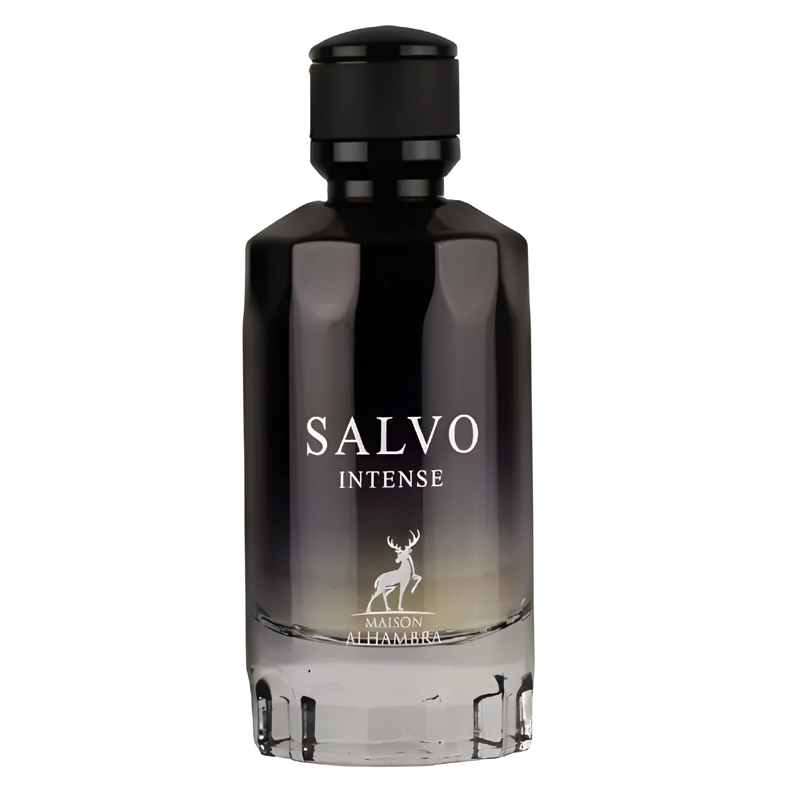 Maison Alhambra Salvo Intense Eau de Parfum for Men